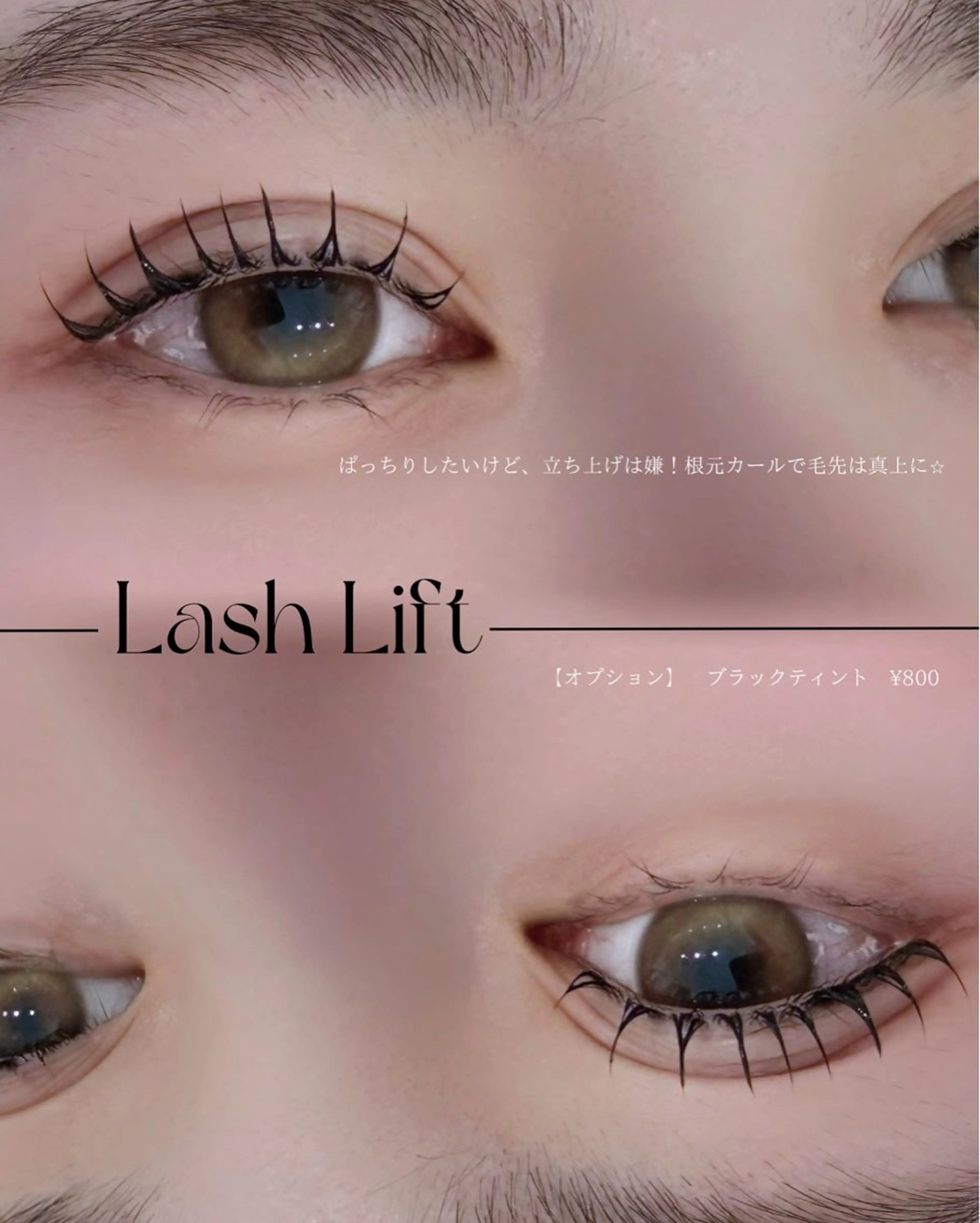 【マスカラ滲む、この季節に最適❣️】マスカラパーマ👁️まつげティント ¥5800の写真