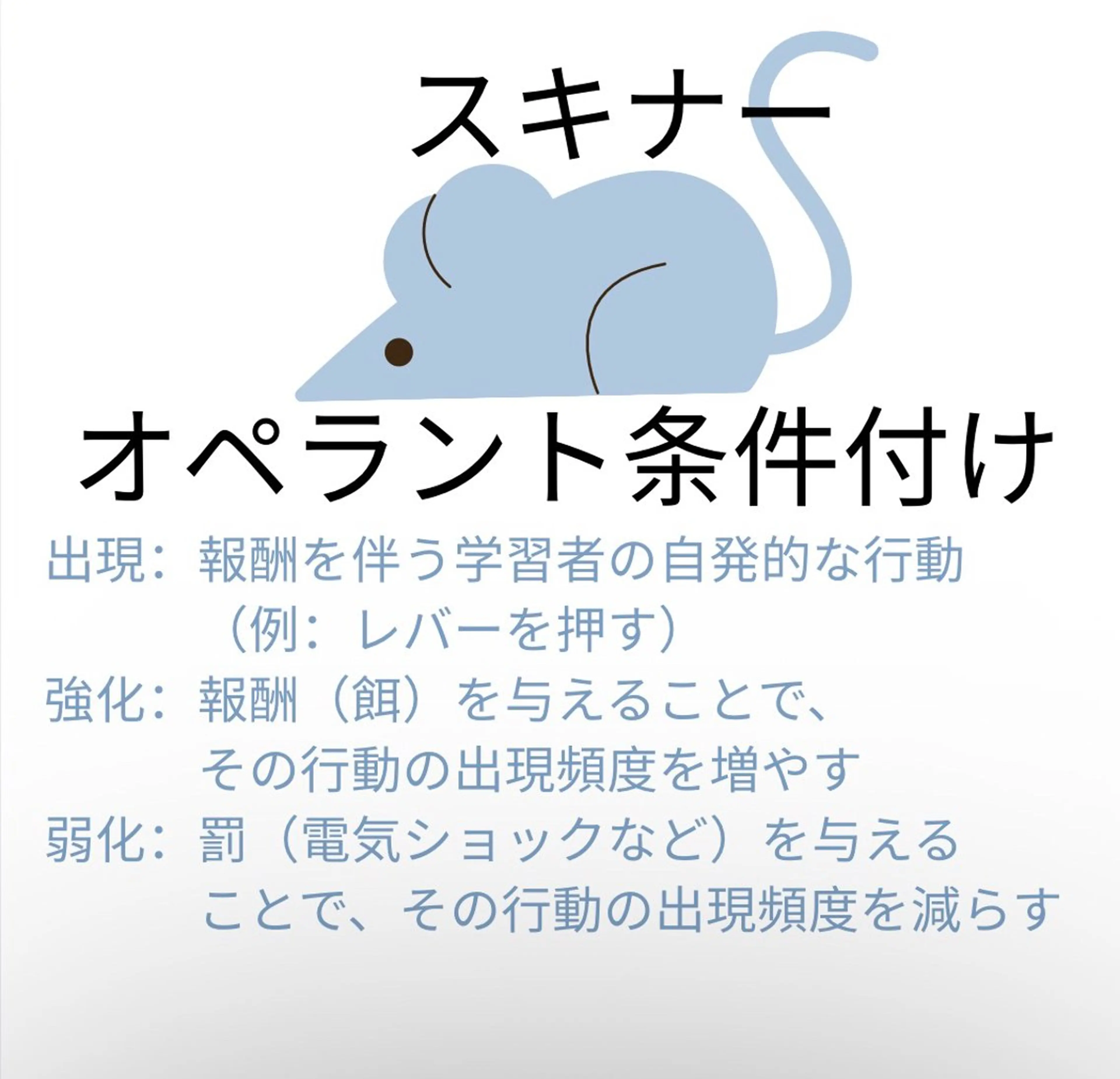 プライベートサロン ドロシーのエステ・リラクイメージ