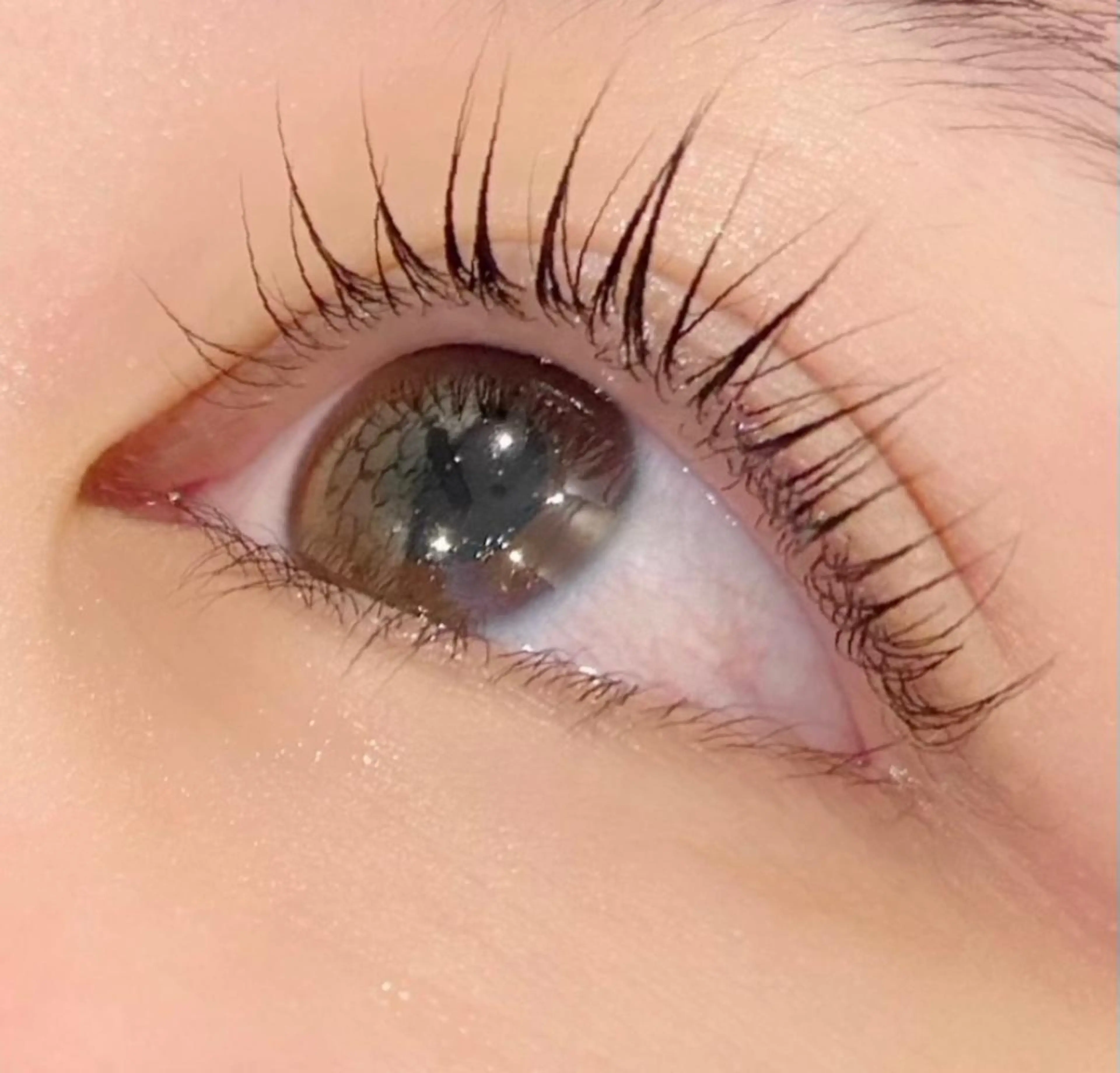 マツエク・マツパ パリジェンヌラッシュリフト 🍀エピスモア 嶋倉🍀のエステ・リラクイメージ