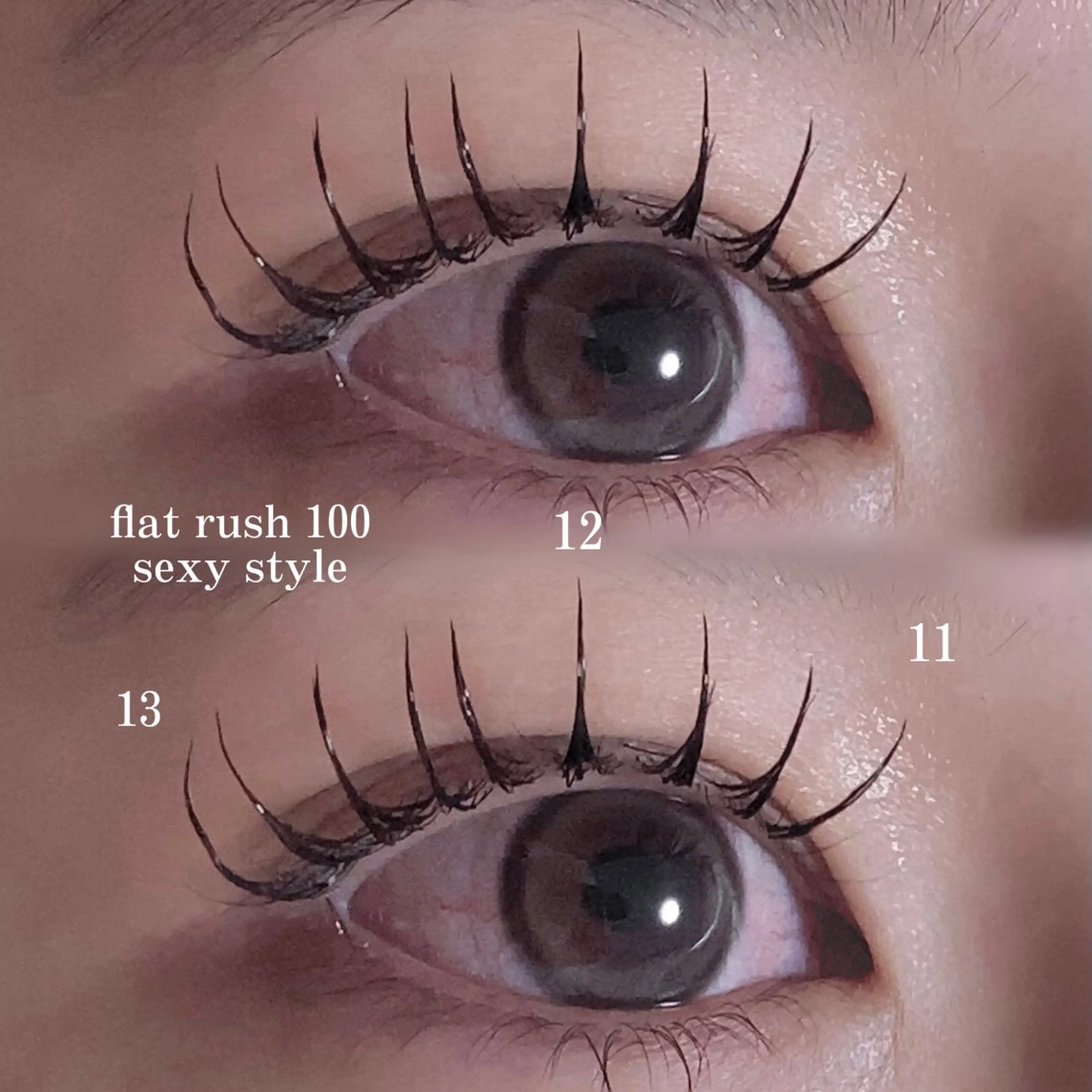 ãããšã¯ã»ããã ð¬ðð/京éœé§
/ææãŸã€æ¯ðã®ãããšã¯ã»ããããã¶ã€ã³