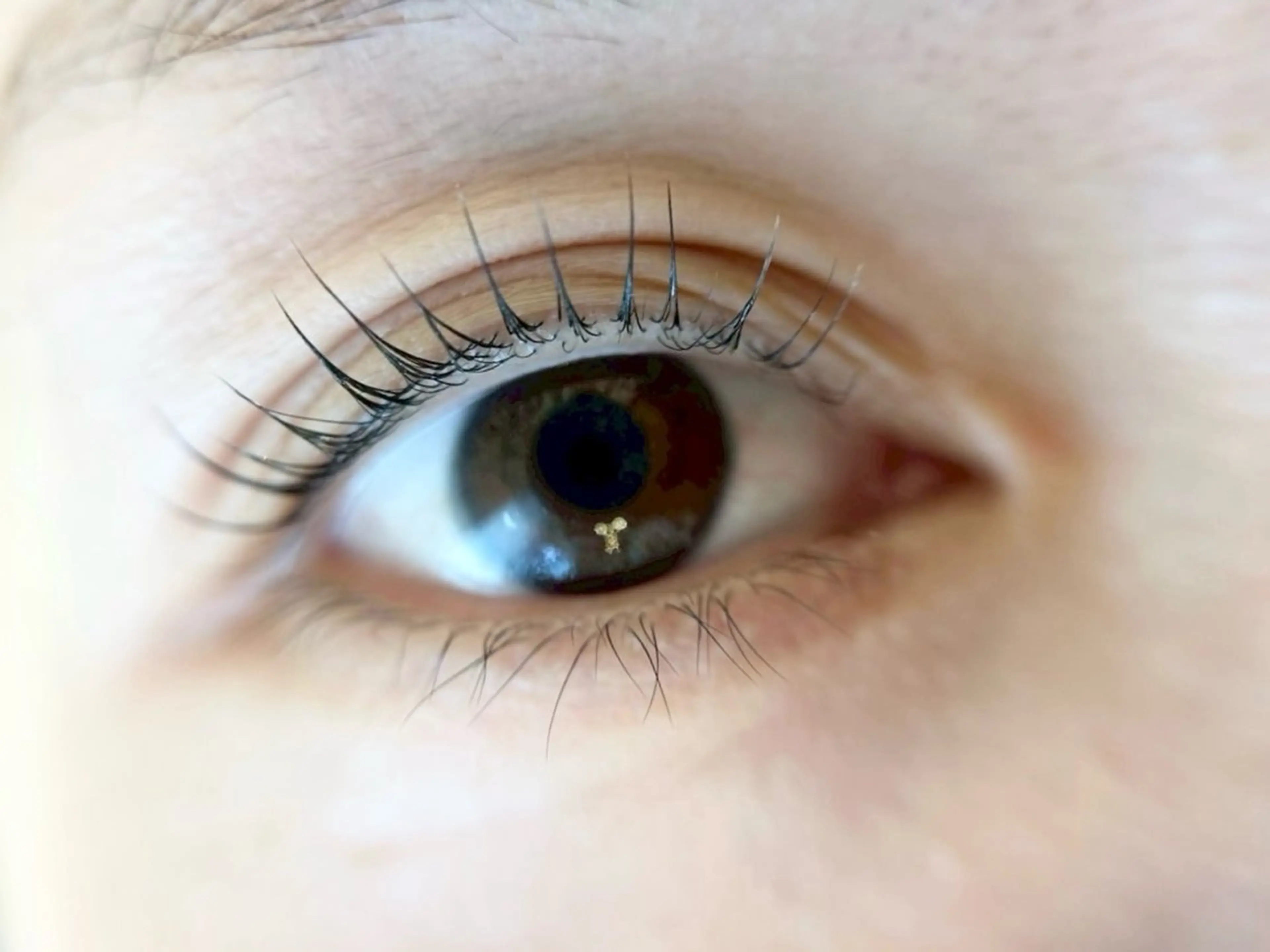 マツエク・マツパ Ome kashiのマツエク・マツパデザイン