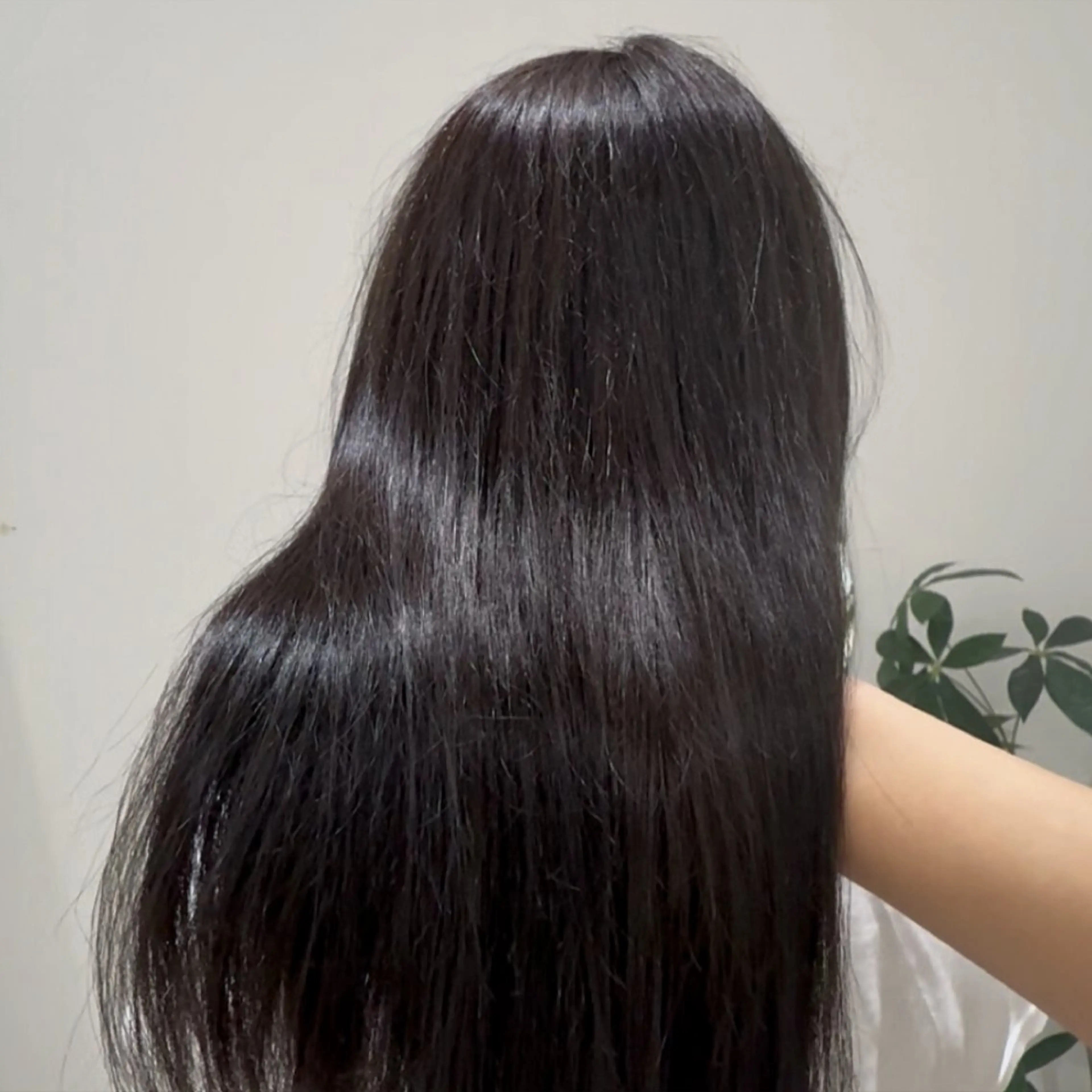 ロング カラー Zina天神🌻田中 愛香のヘアスタイル