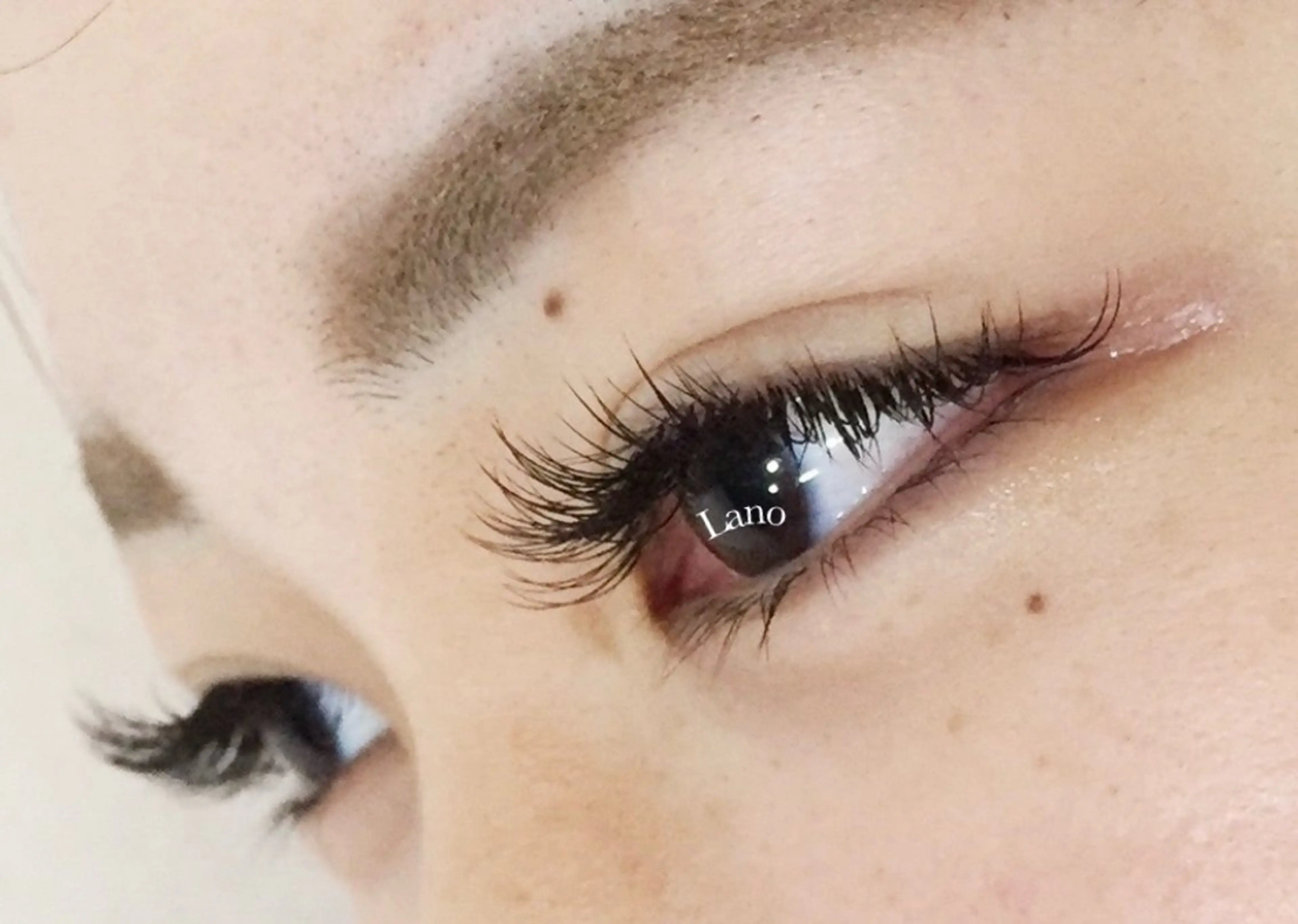 最高級フラットラッシュ/上１００本/オフ込の写真