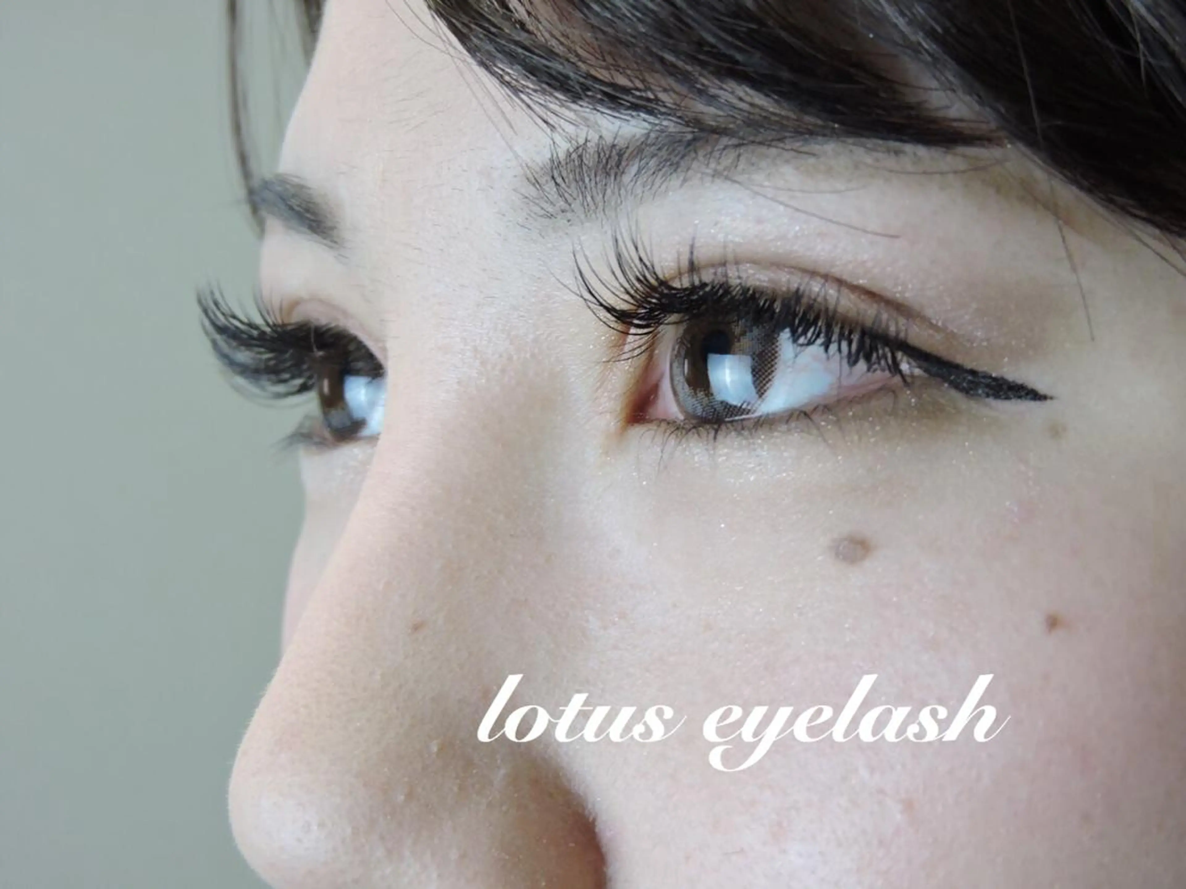マツエク・マツパ 付け放題 Lotus eyelashのマツエク・マツパデザイン