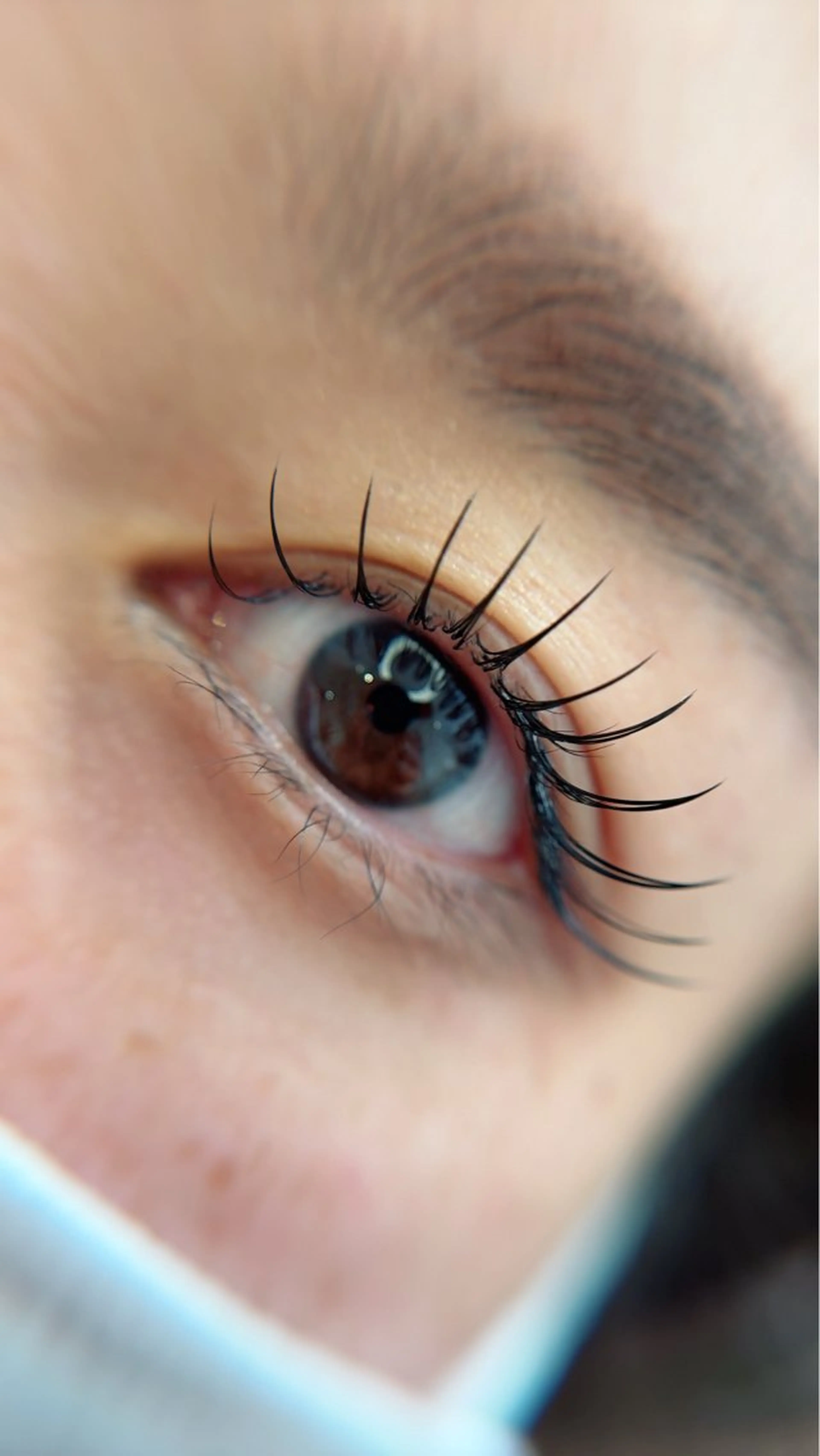 マツエク・マツパ Maile leaf 【マイレリーフ】のマツエク・マツパデザイン