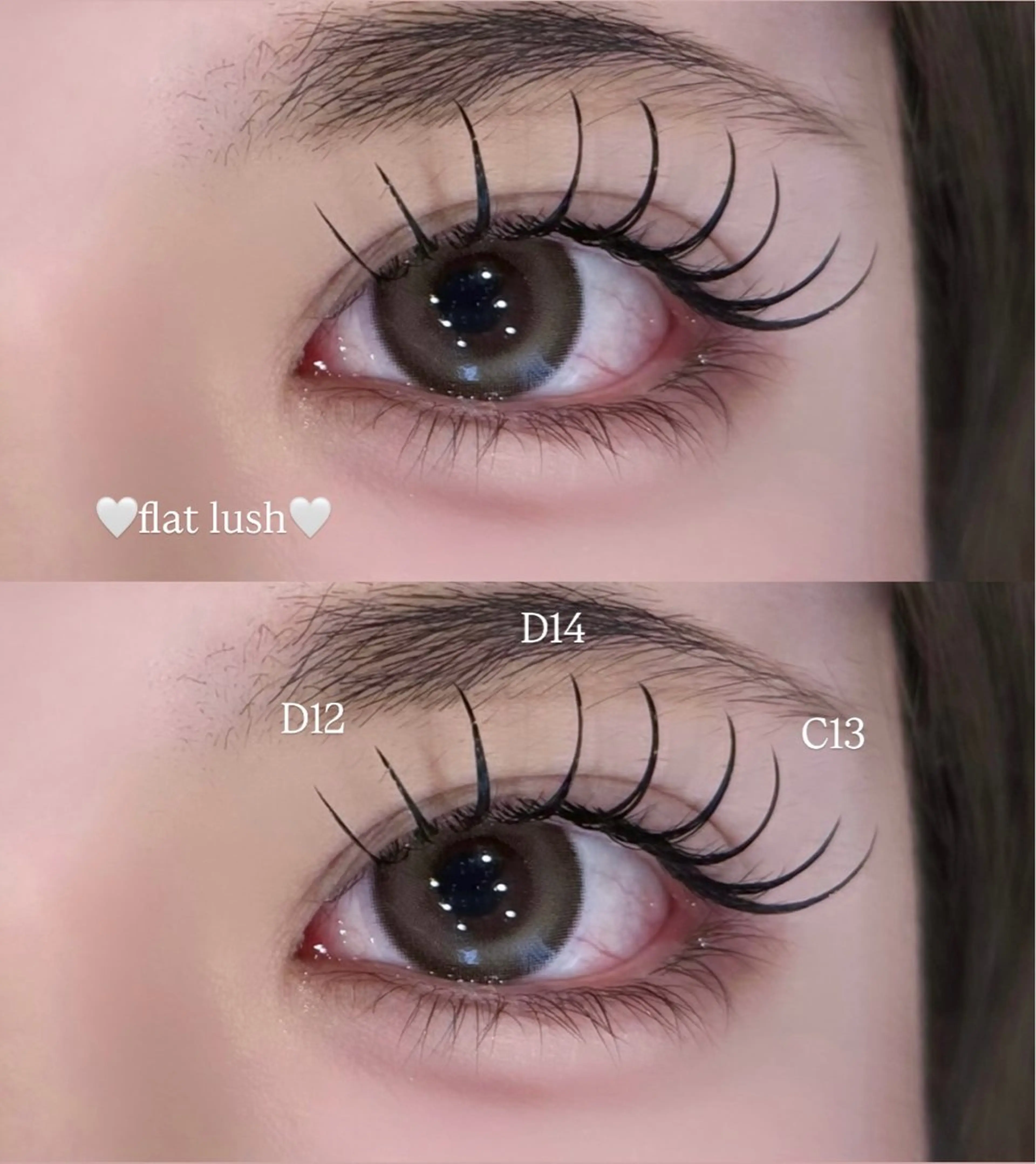 当日ご新規様限定🎀✧︎*。フラットラッシュ【140本¥4,990 160本¥5,500】【オフ別途】の写真