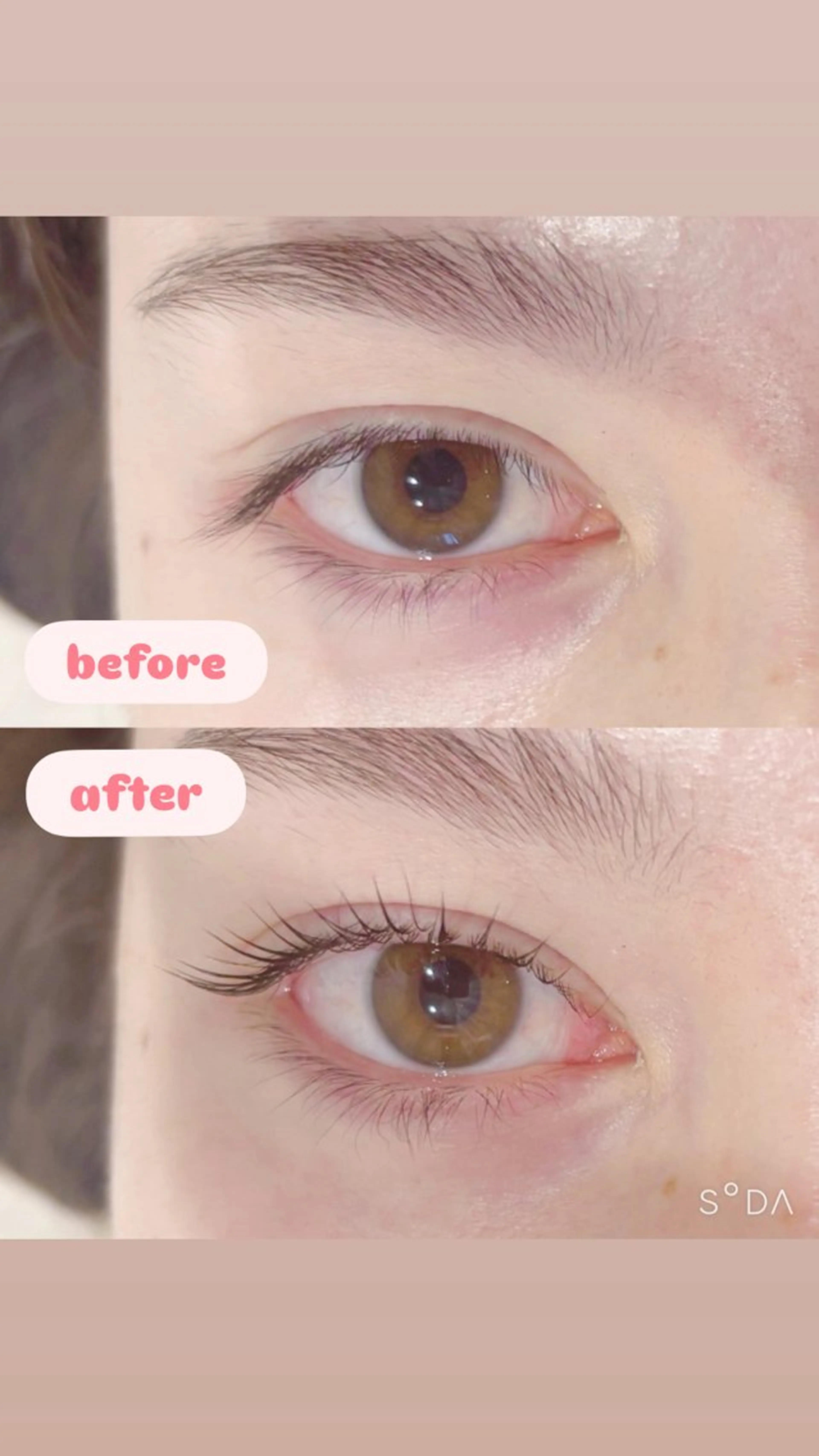 マツエク・マツパ パリジェンヌラッシュリフト mecotto町田店 三浦のマツエク・マツパデザイン