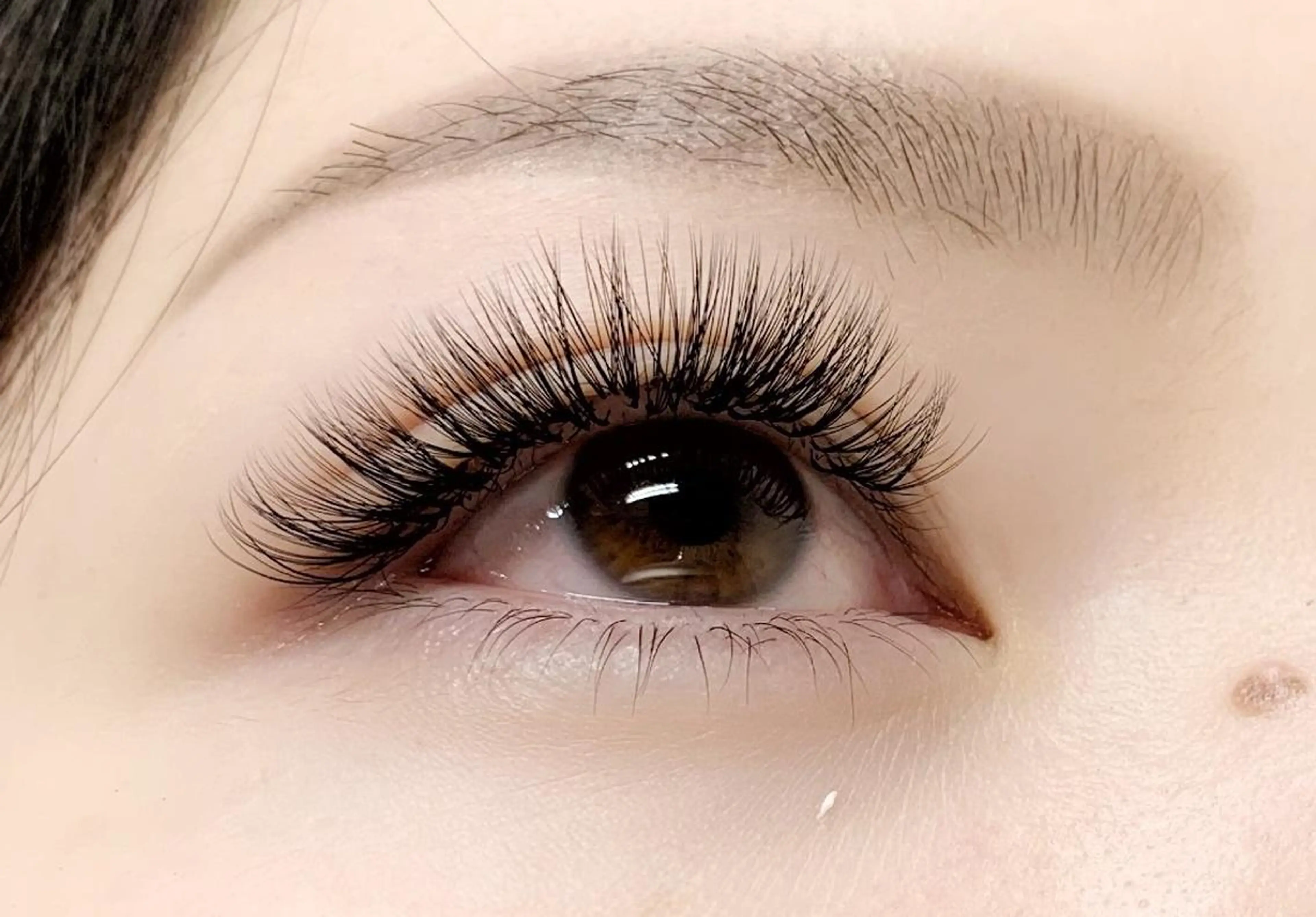 マツエク・マツパ ボリュームラッシュ BUNNY EYES TENJINのマツエク・マツパデザイン