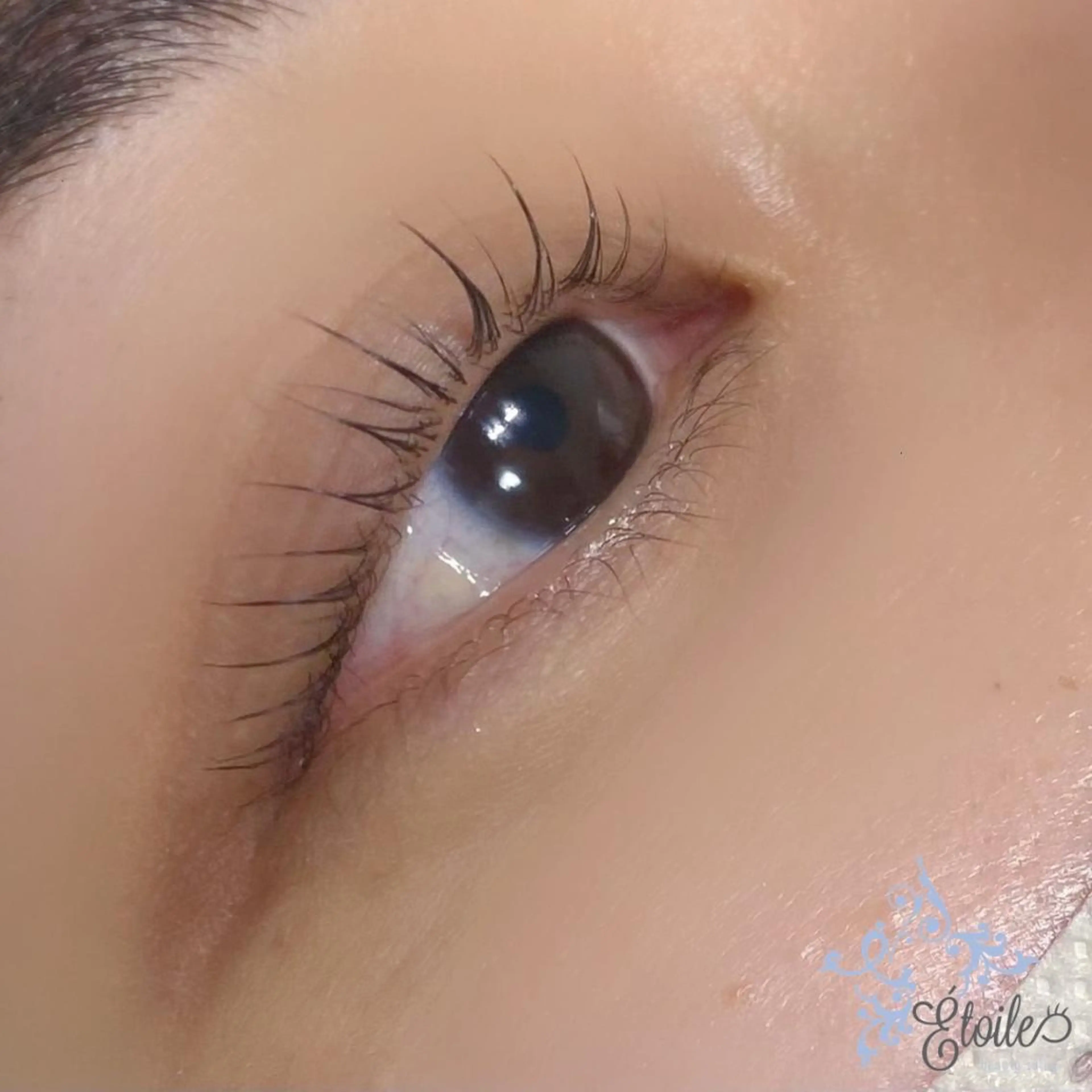 マツエク・マツパ 一重×まつ毛パーマ Etoile エトワール品川店のマツエク・マツパデザイン