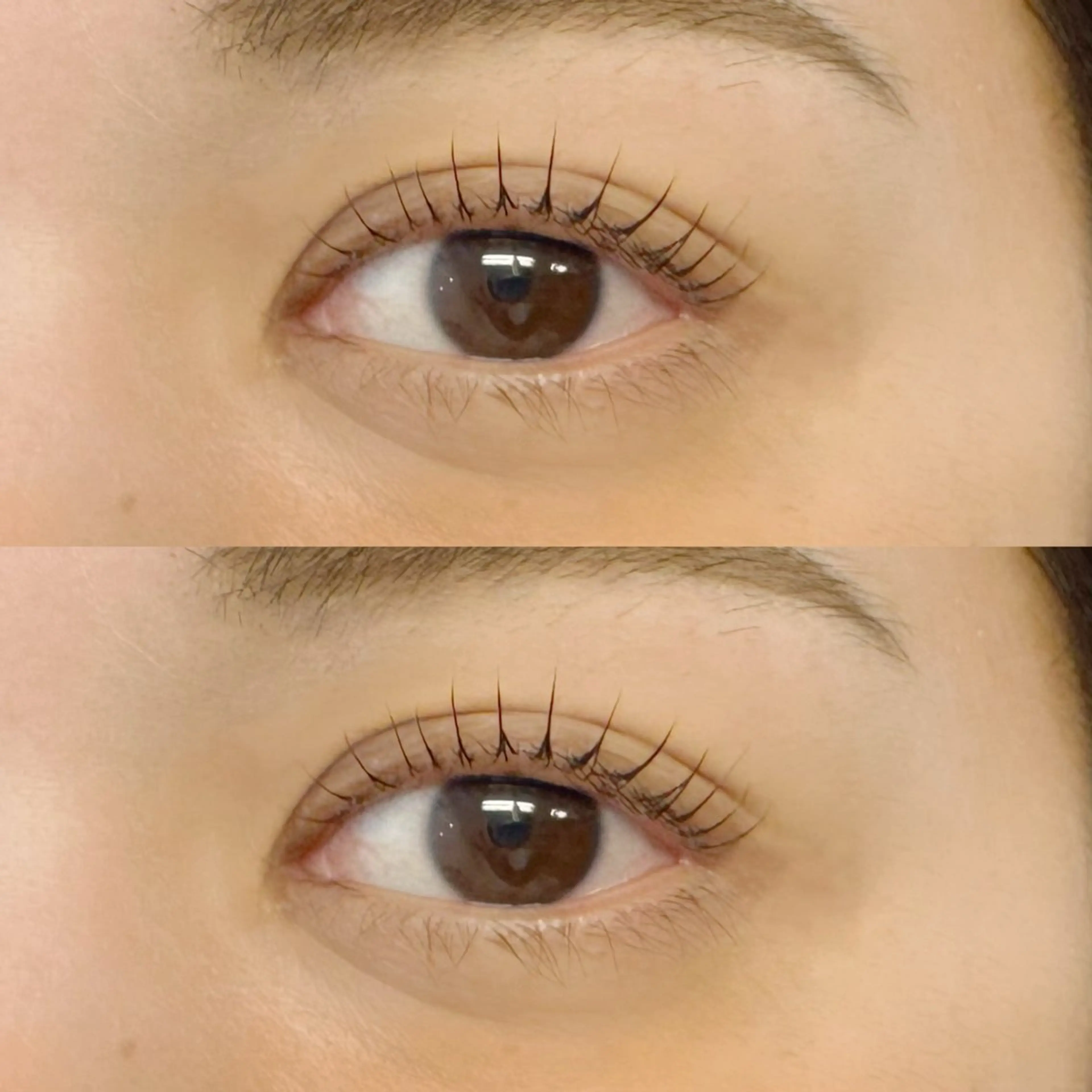 マツエク・マツパ マツパ 南舘 由奈の眉毛・アイブロウイメージ