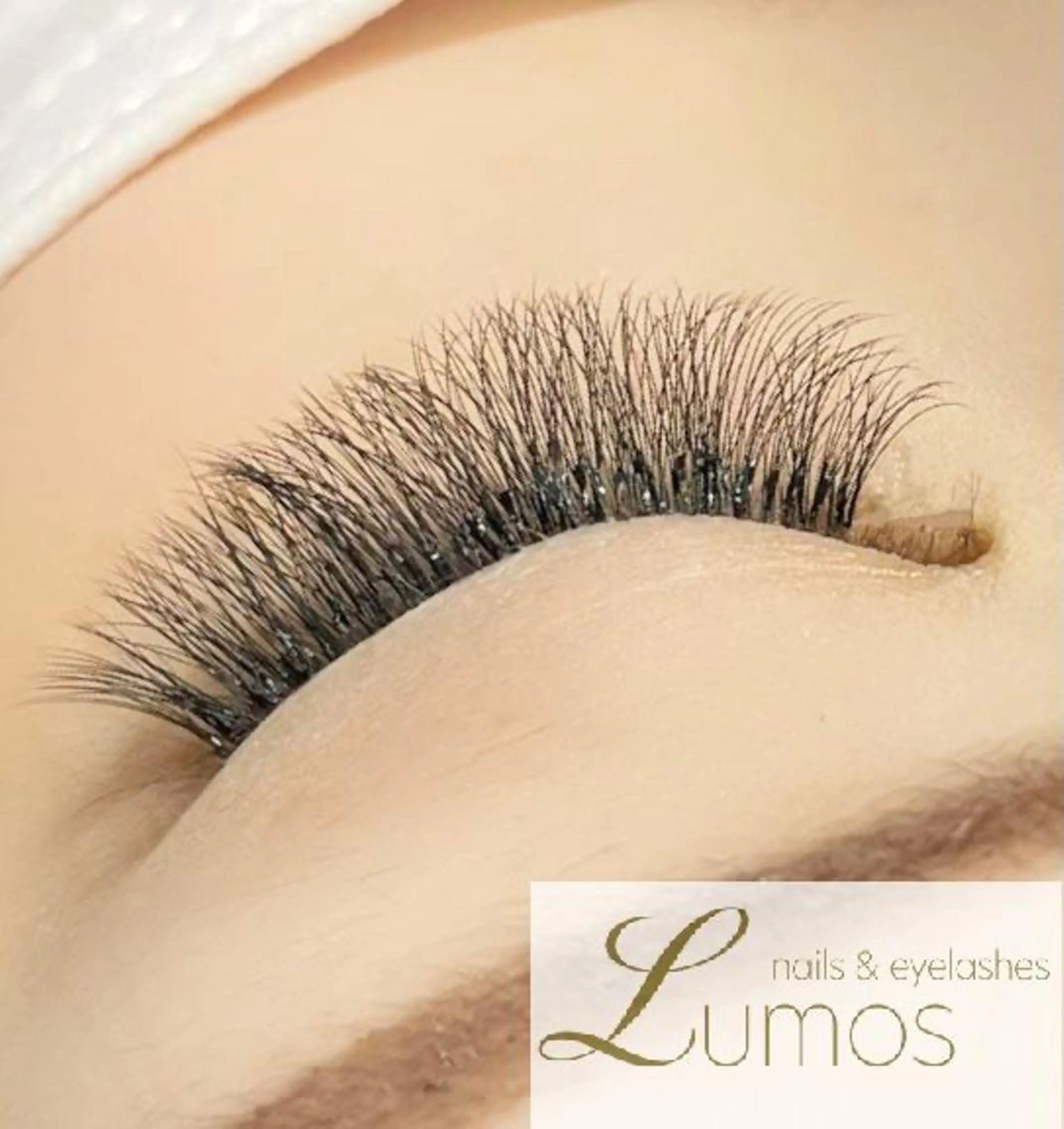 【他店オフ無料】ボリュームラッシュ500本の写真