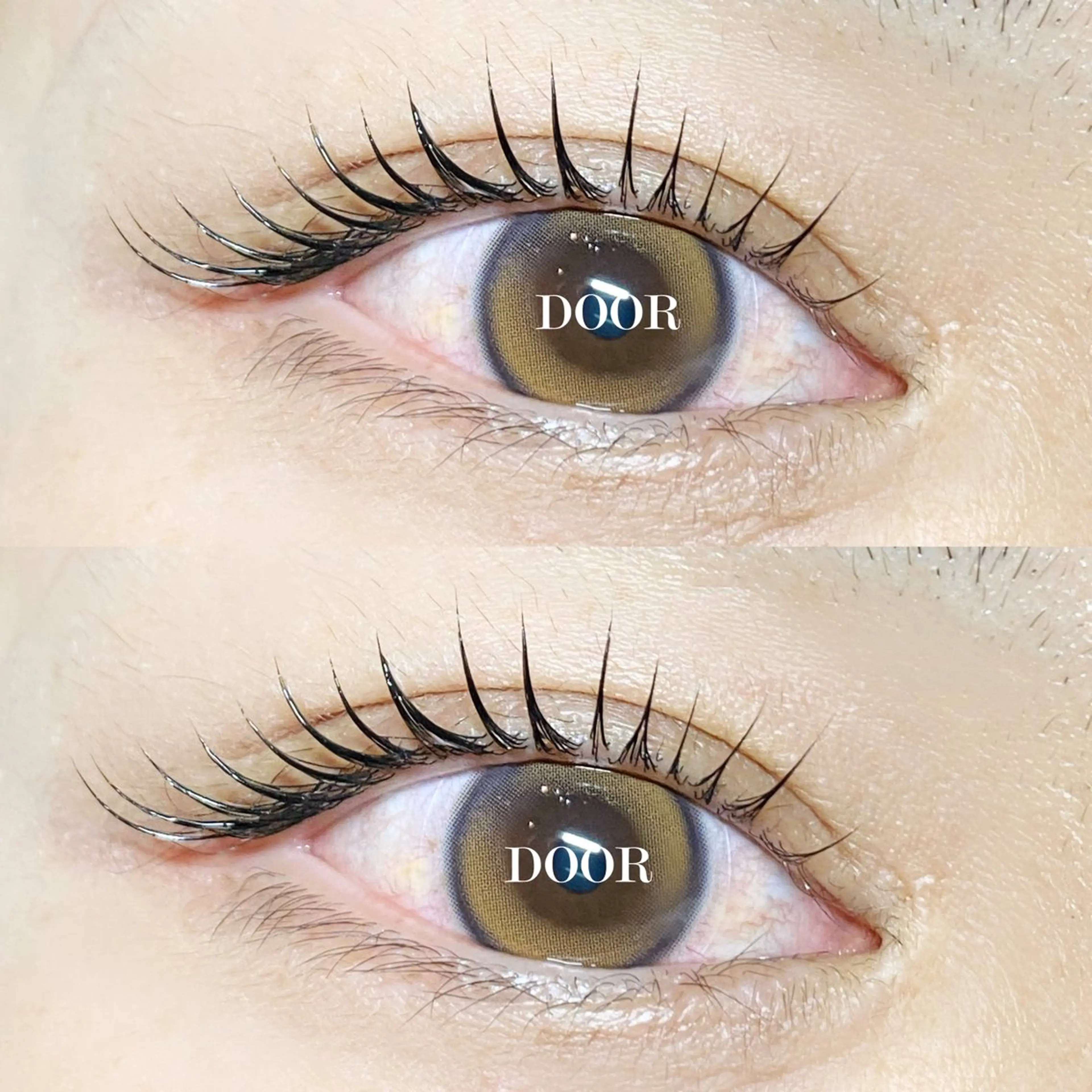 🥑ご新規様限定 🌟パリジェンヌorまつ毛パーマ【 コーティング＋美容液＋アイシャンプー 付き】🥑の写真