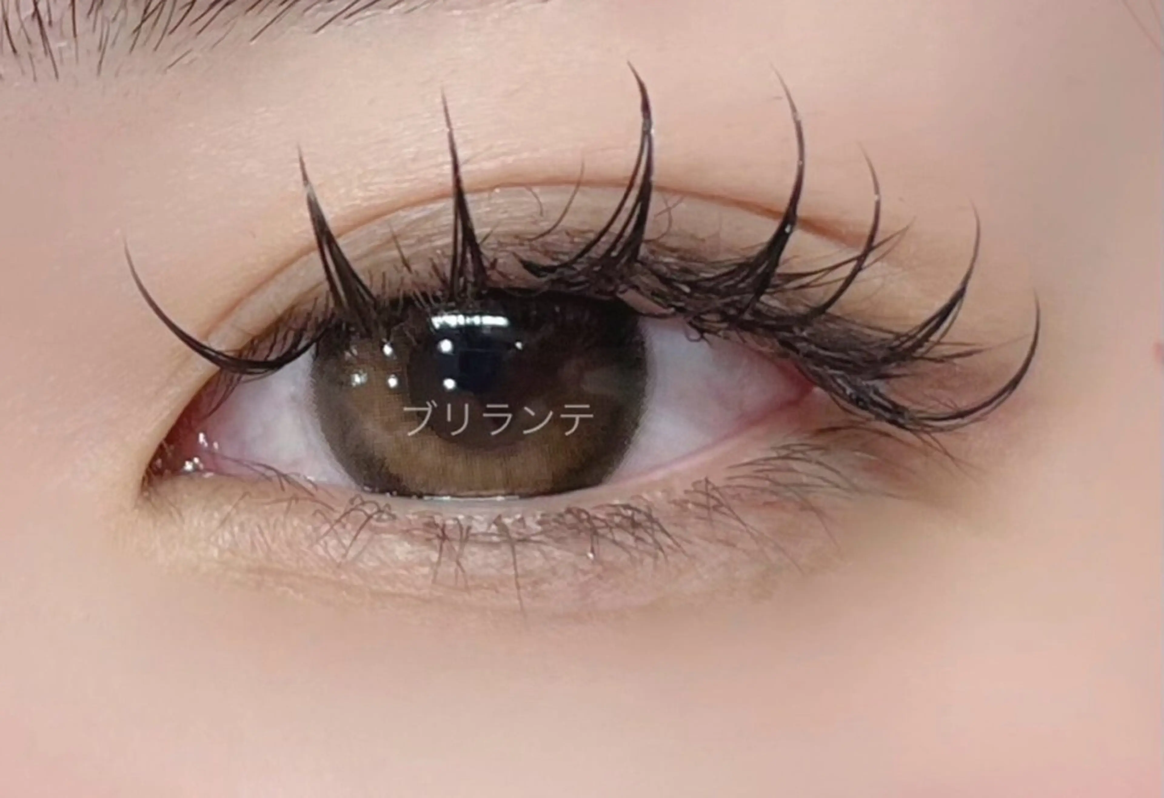 マツエク・マツパ マツエク Kusunoki 🌹Minami🌹のマツエク・マツパデザイン