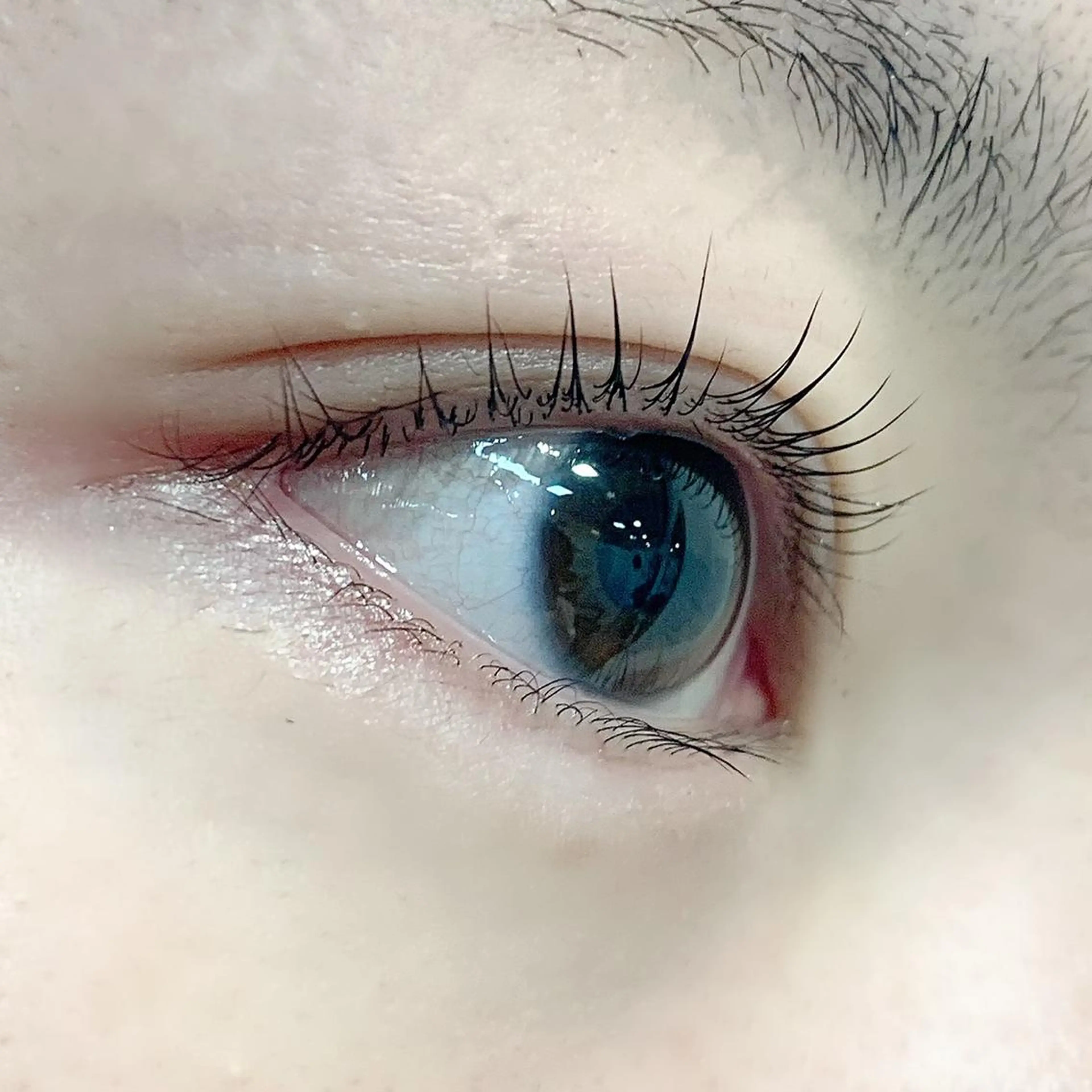 ✨ラッシュリフト✨ 根元を立ち上げるまつ毛パーマです✨の写真