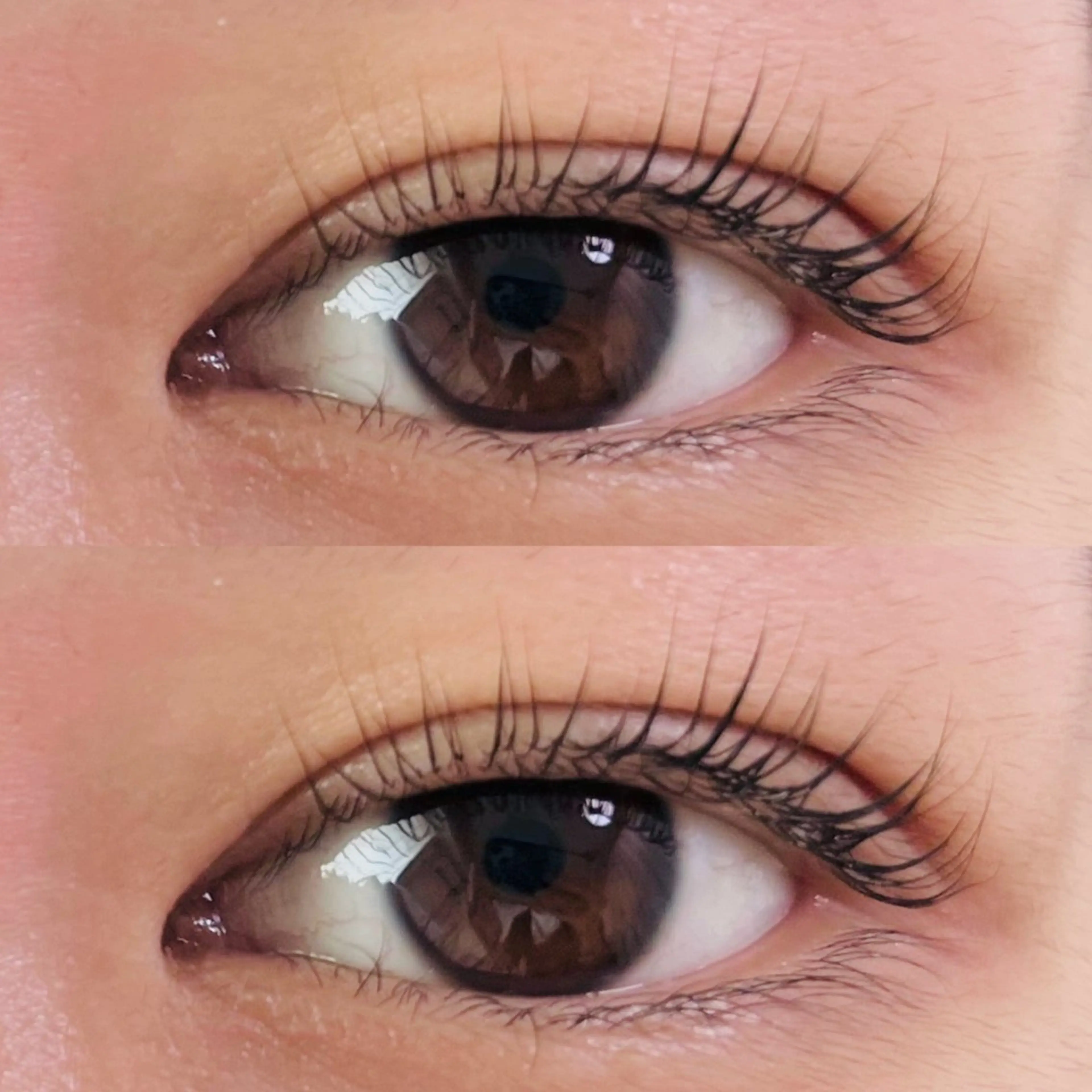 マツエク・マツパ HERA 【ヘラ】のマツエク・マツパデザイン