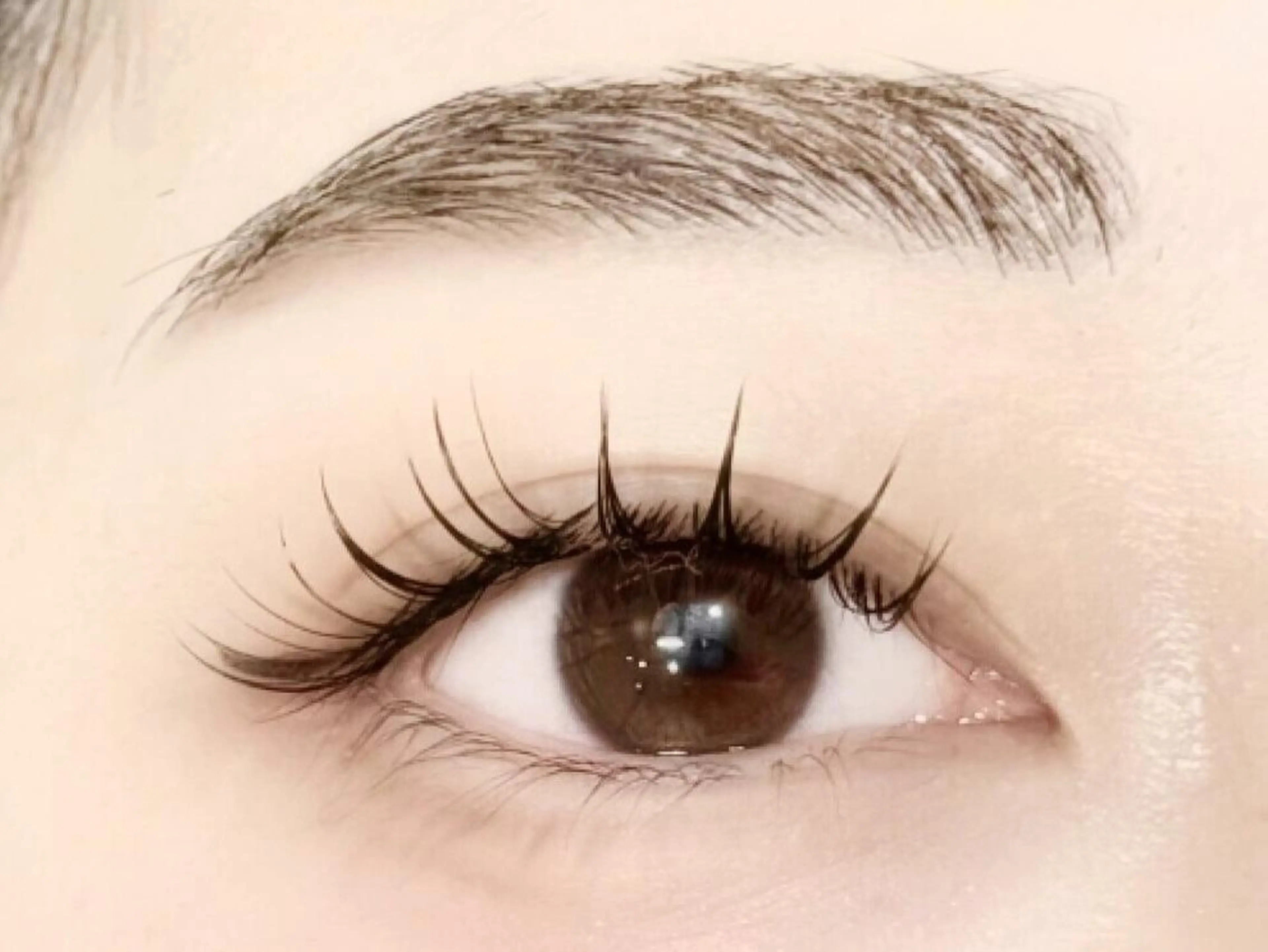 【✨minimo限定価格✨】ワンホンデザイン120本の写真