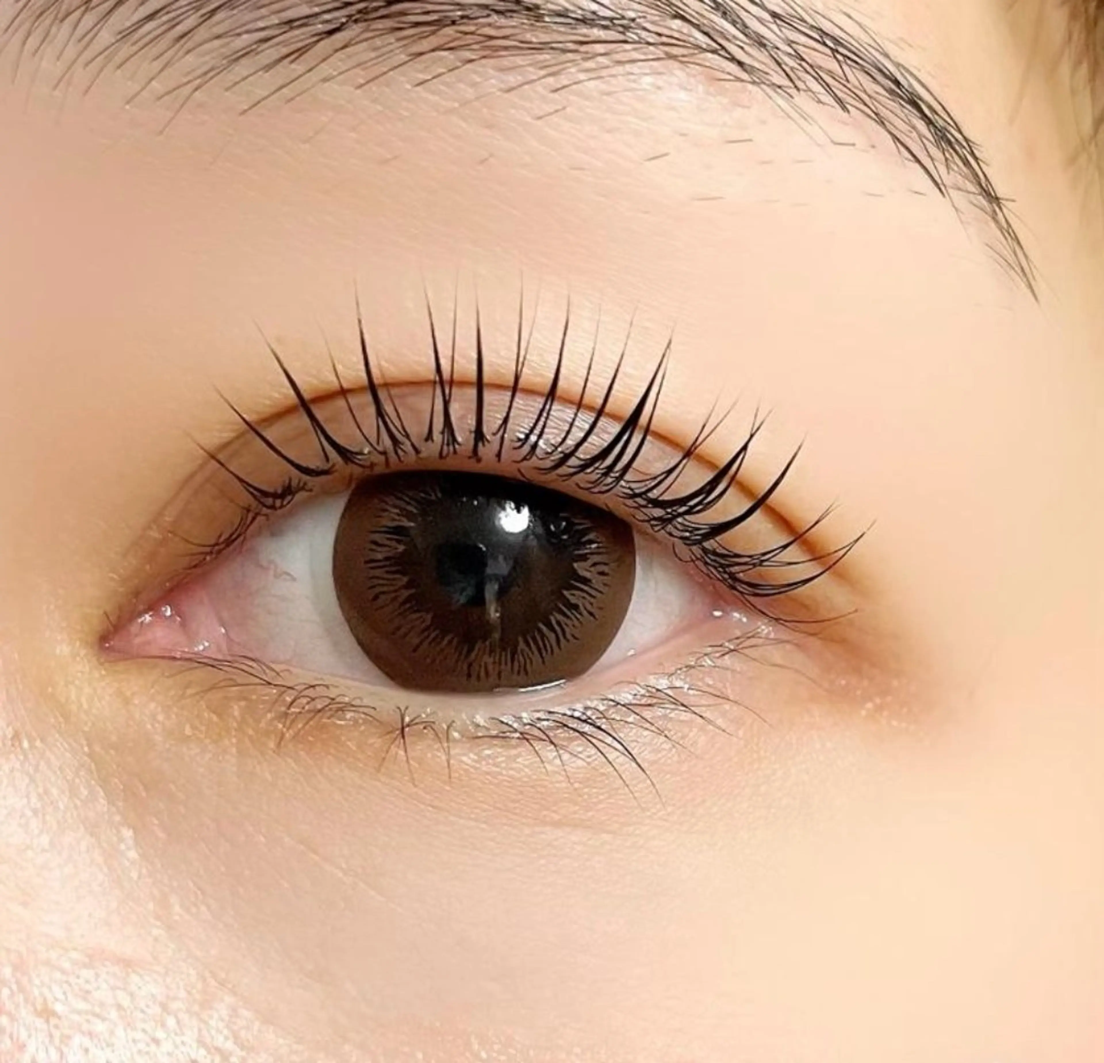 マツエク・マツパ I.NAILS布施店 岩川🕊️LEDのマツエク・マツパデザイン