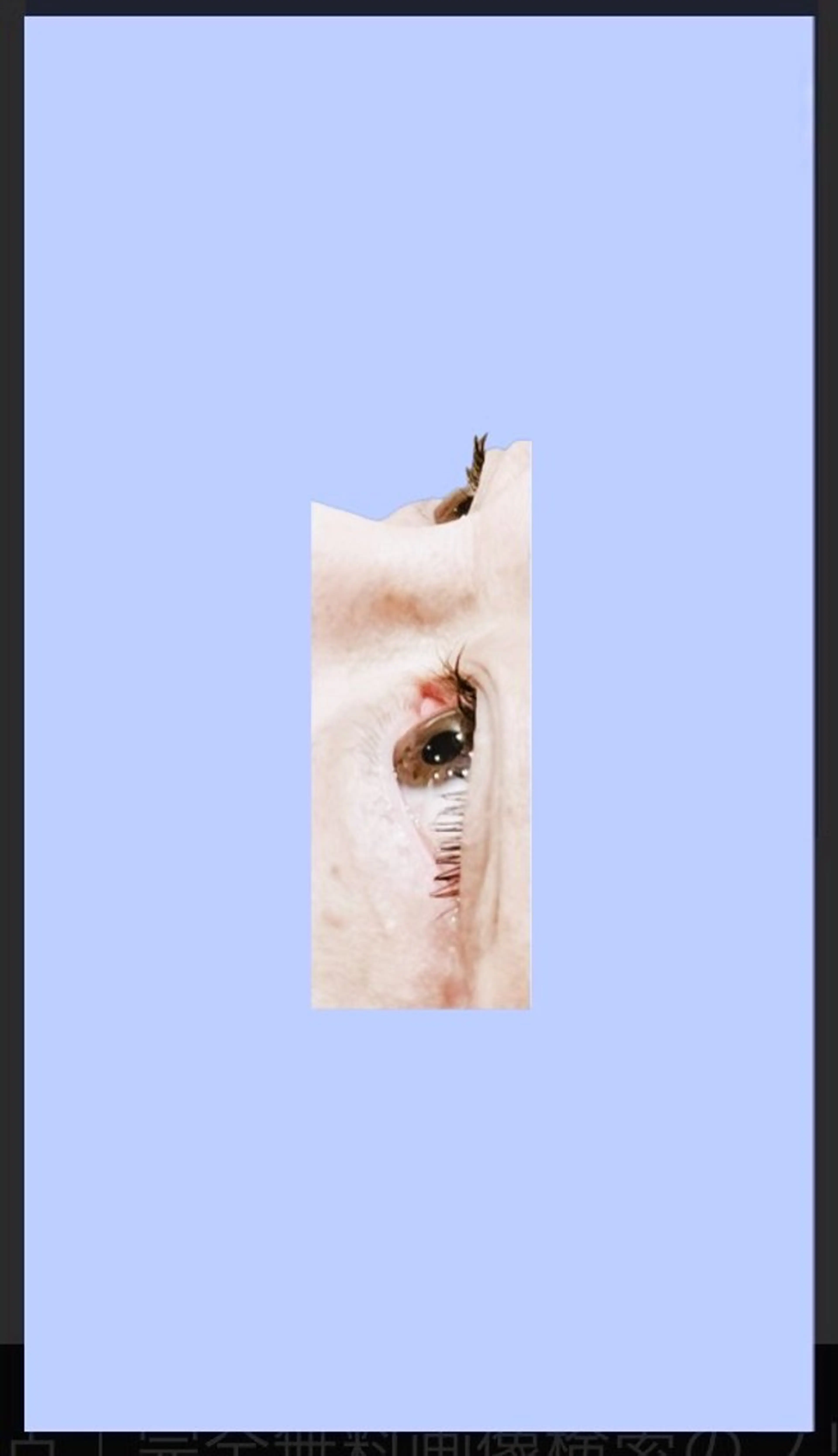 マツエク・マツパ ナチュラル 一重×まつ毛パーマ ayaka🌻 艶カラー✨縮毛矯正のヘアスタイル