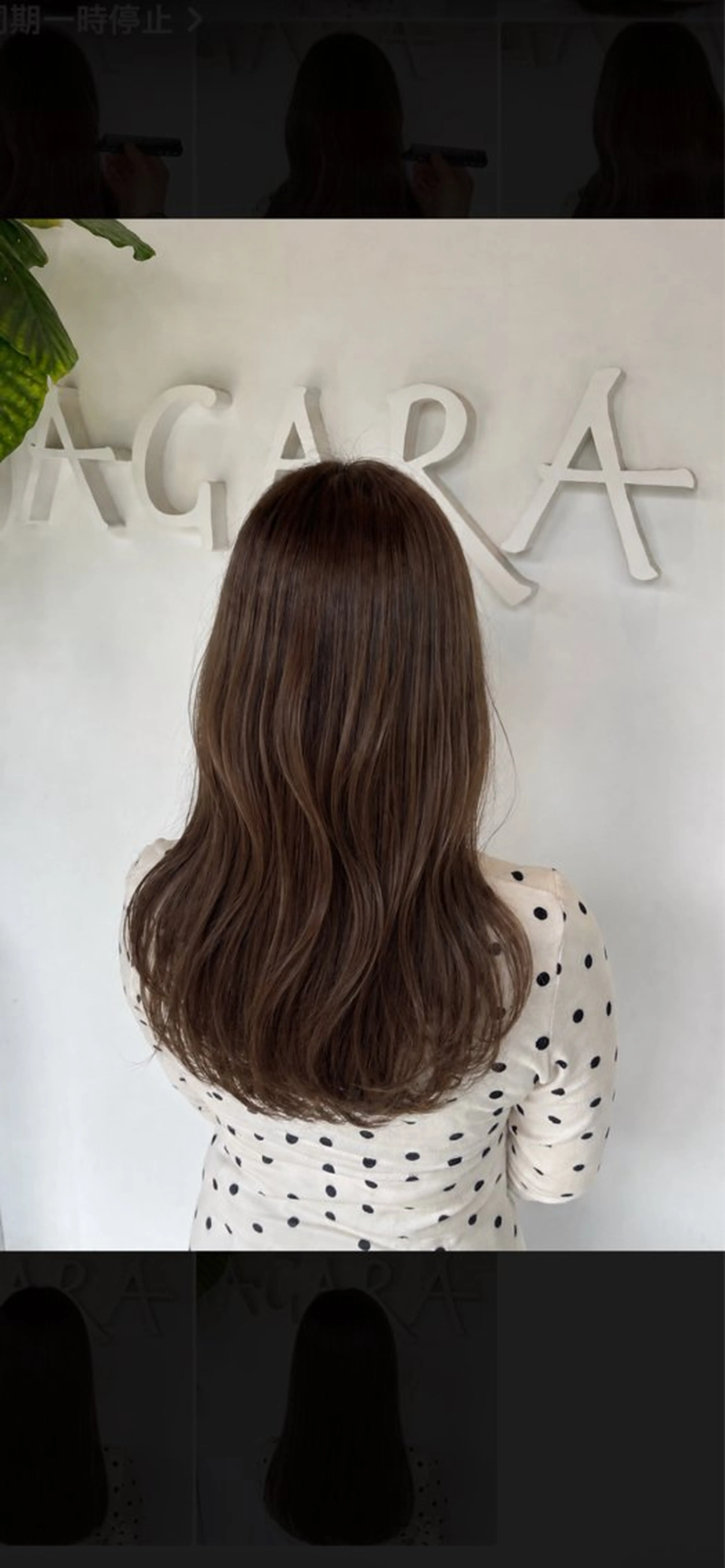 5月限定❣️【🫧ツヤ感重視🫧】うるおいツヤ感カラー➕カット✂️➕1step TR(髪質で選べるトリートメント🧴)の写真