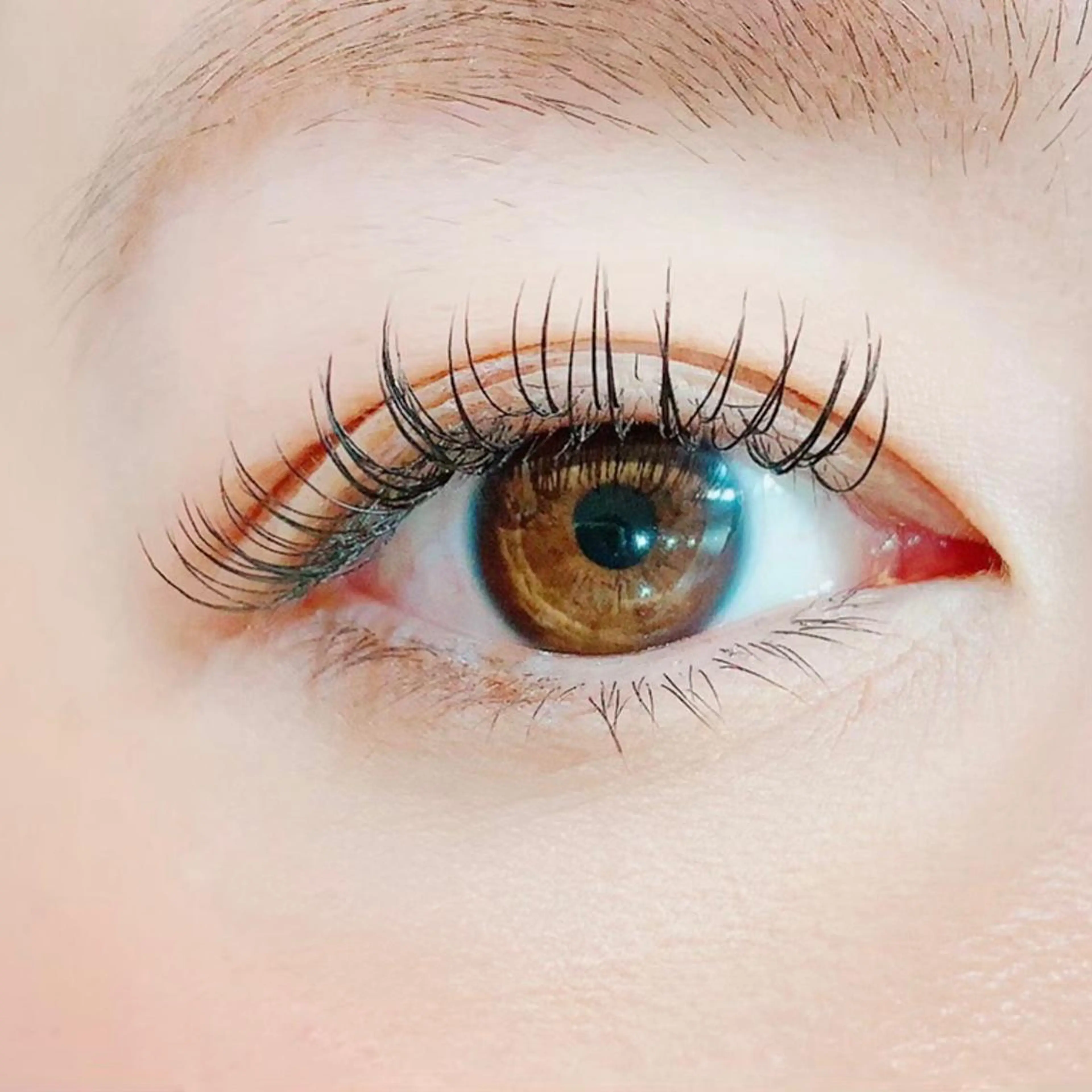 フラットラッシュ100本の写真