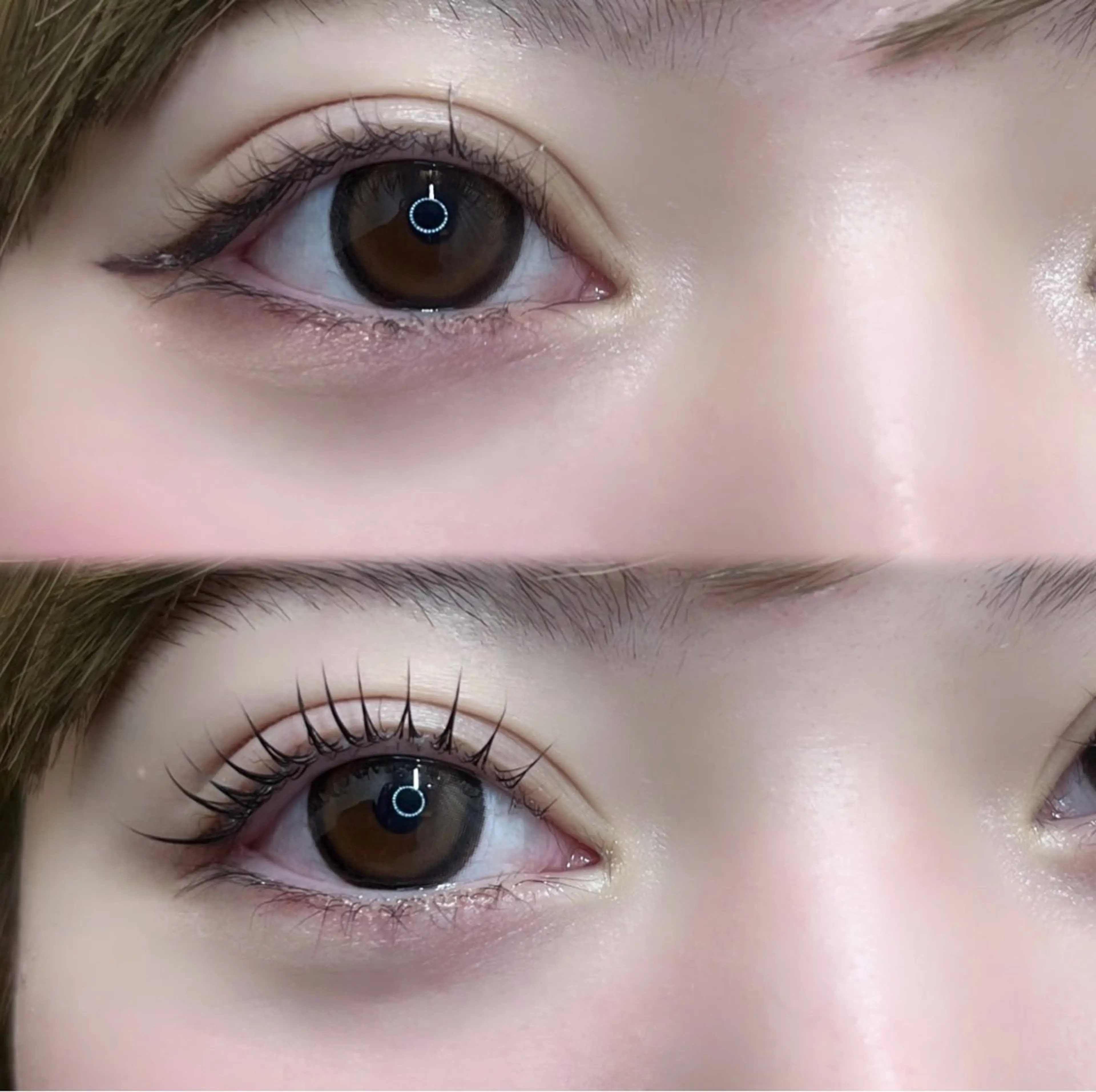 マツエク・マツパ マツパ LAUREL EYE ౨ৎAoi🩶のマツエク・マツパデザイン