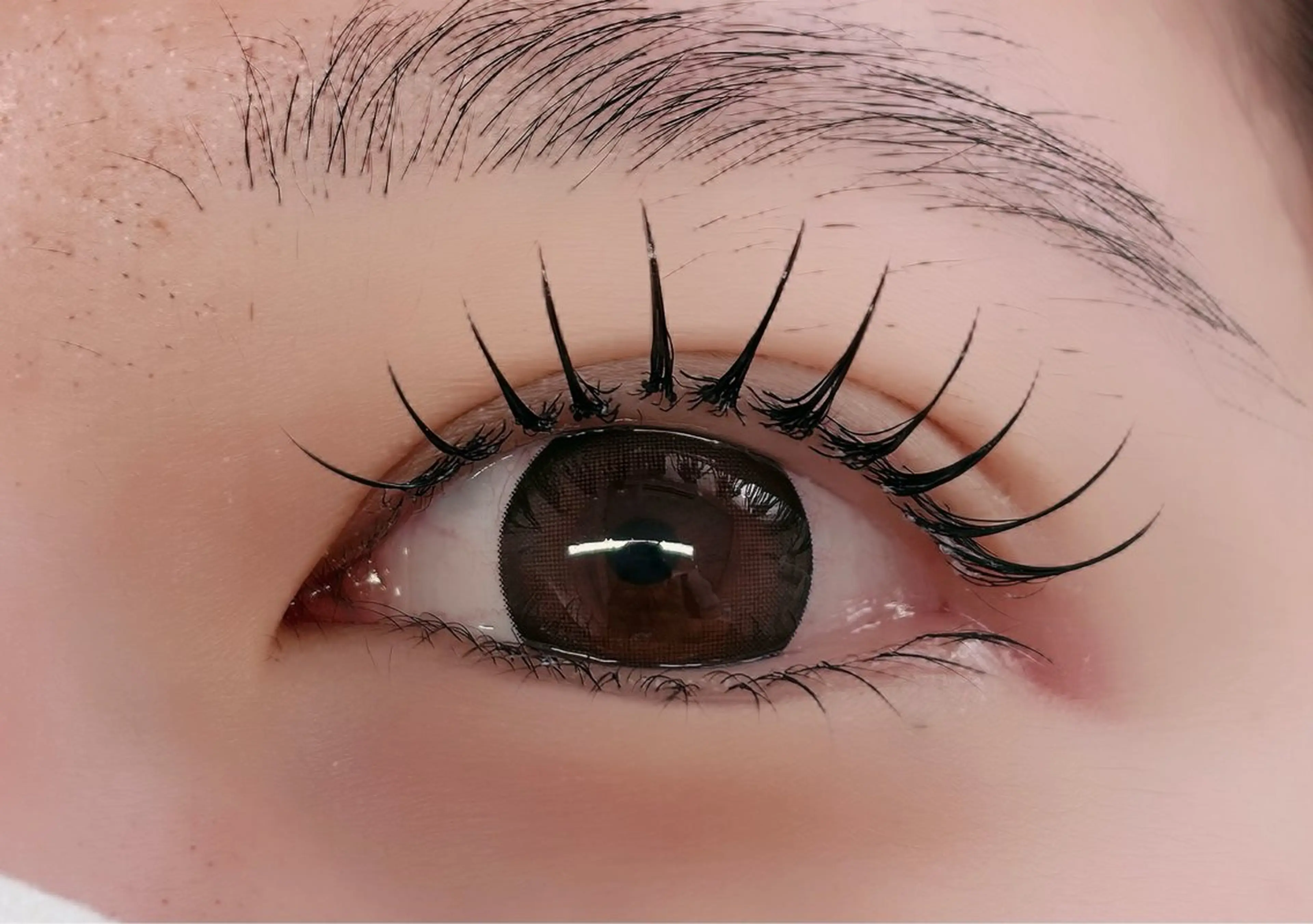 🌷特別価格🌷[史上最強持ち]LED ➕フラットラッシュ140本の写真