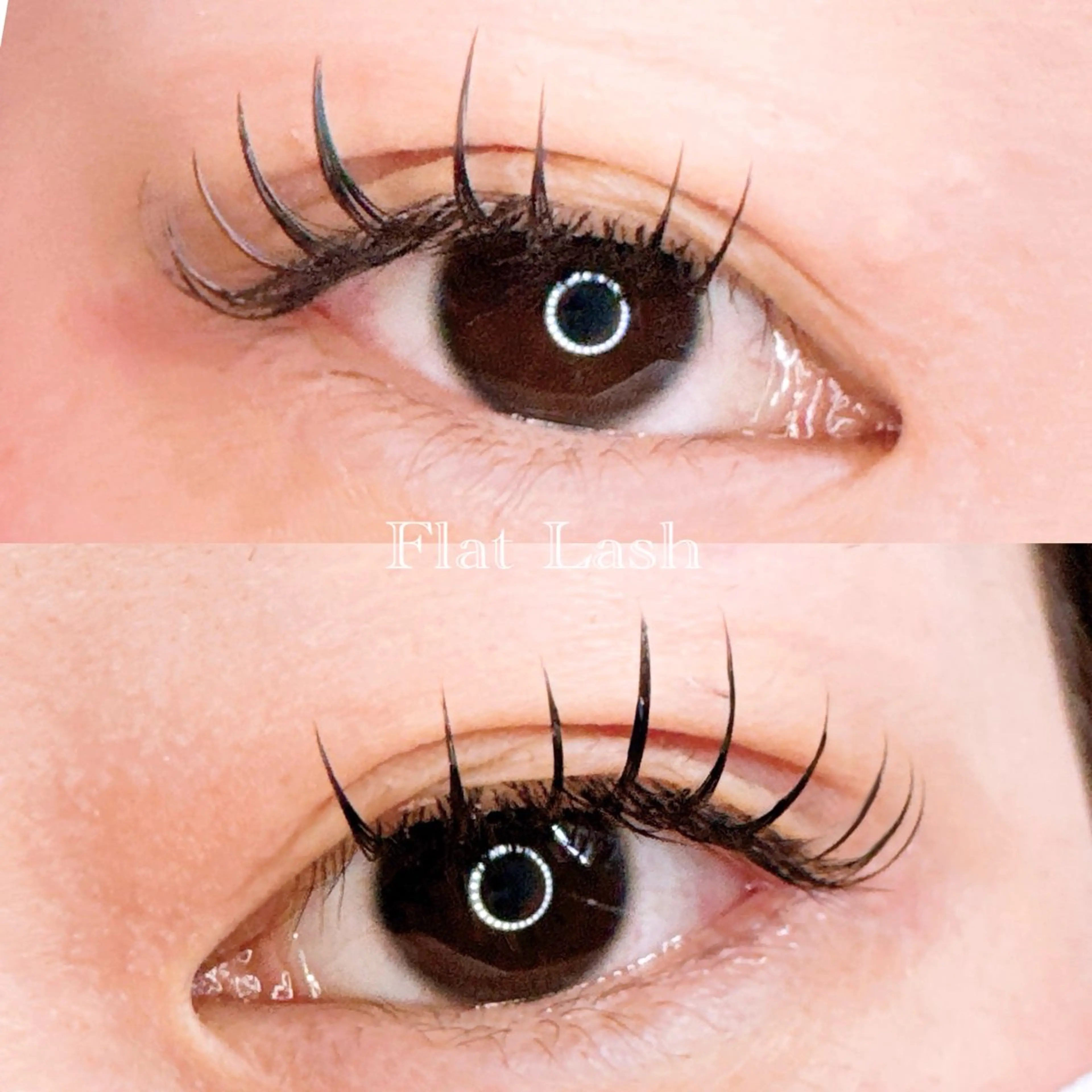 マツエク・マツパ CCカール Cカール フラットラッシュ マツエク UON【ｳｵﾝ】 Asuka🌼のマツエク・マツパデザイン