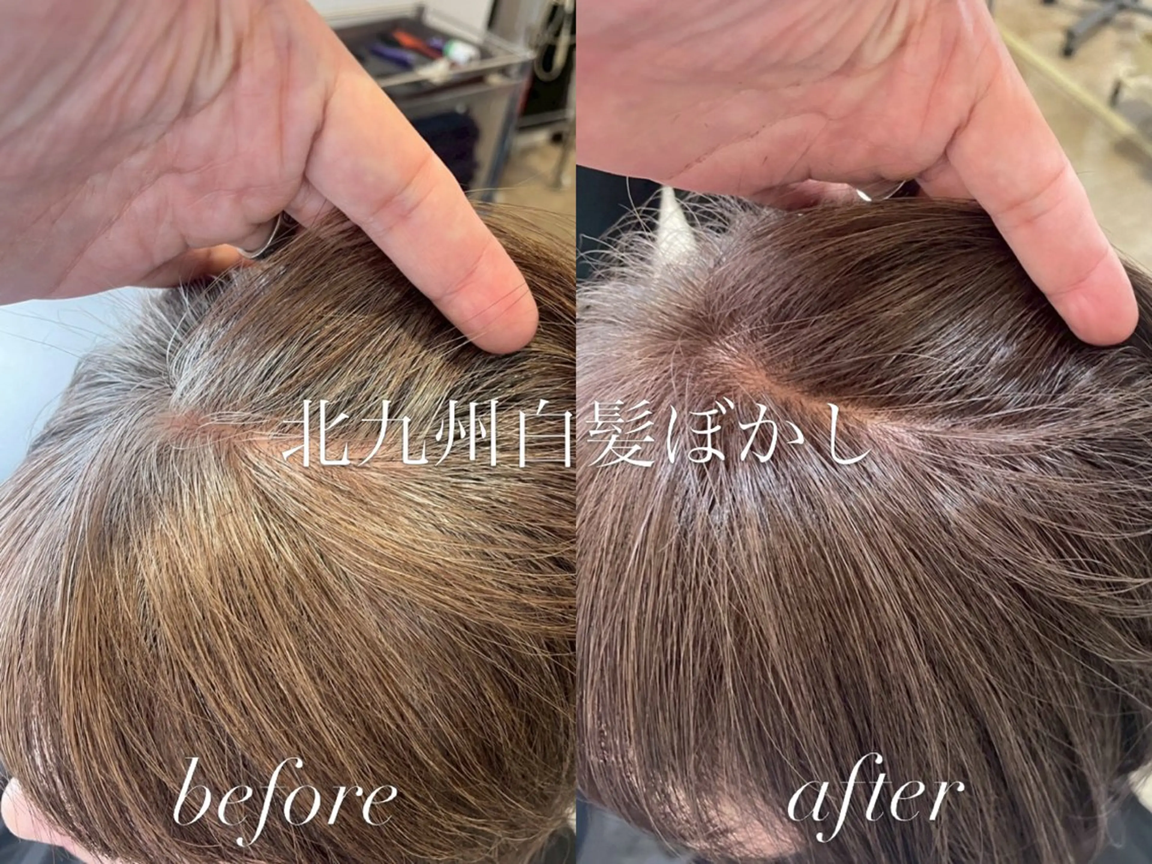 ショート カット ヘアカラー 本山 凜のヘアスタイル