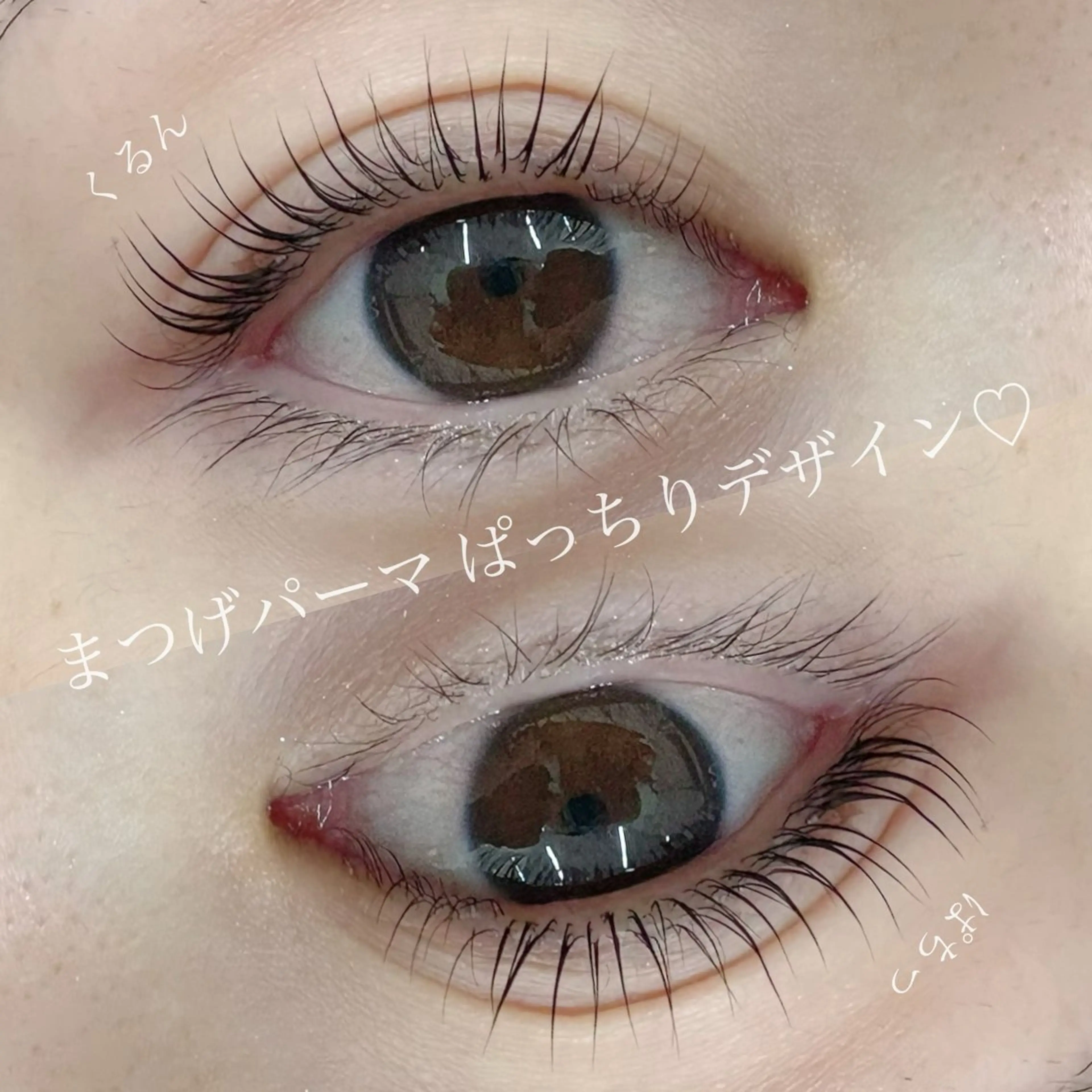 (上)まつげパーマ無料モデル✨の写真
