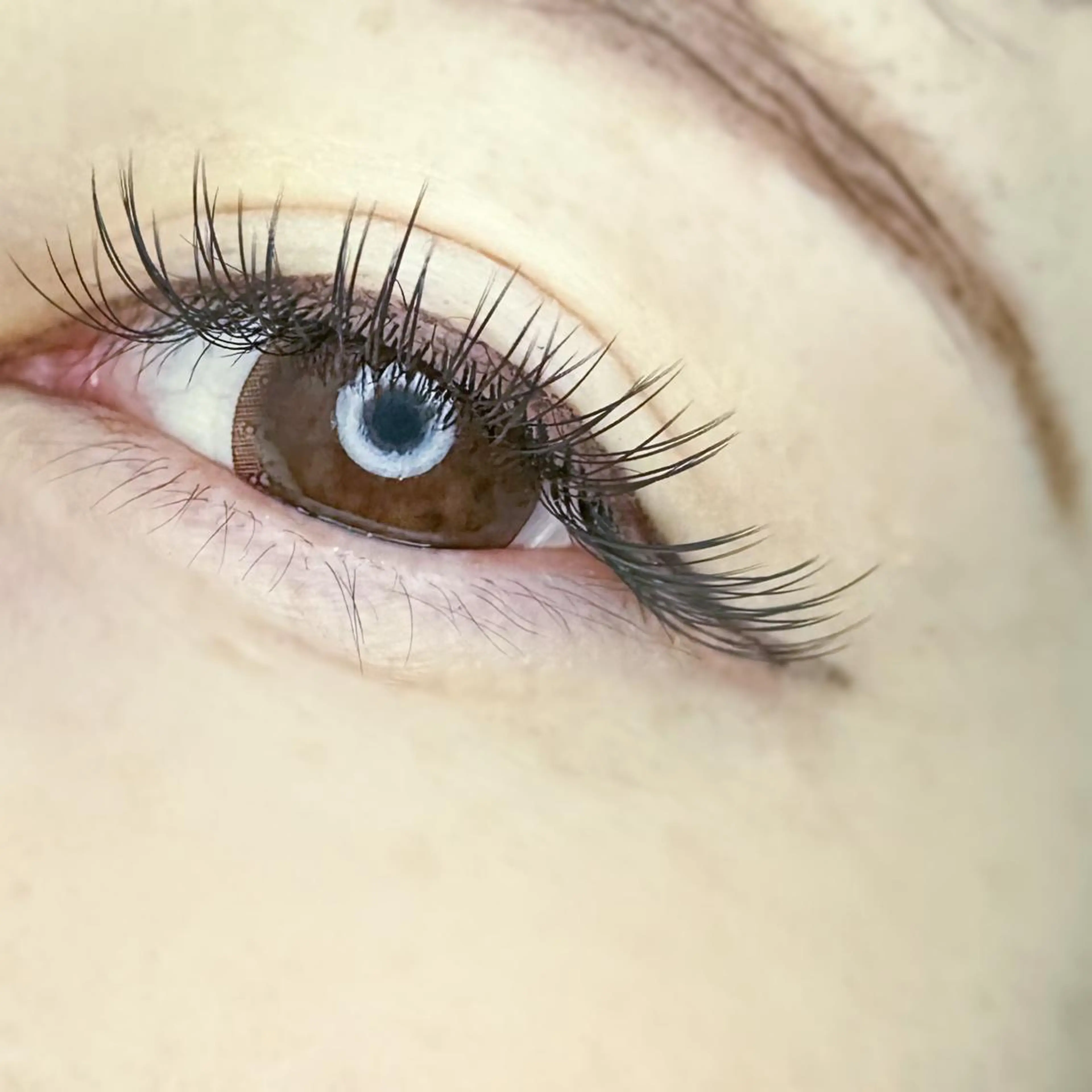 マツエク・マツパ MEDERU EYELASHのマツエク・マツパデザイン