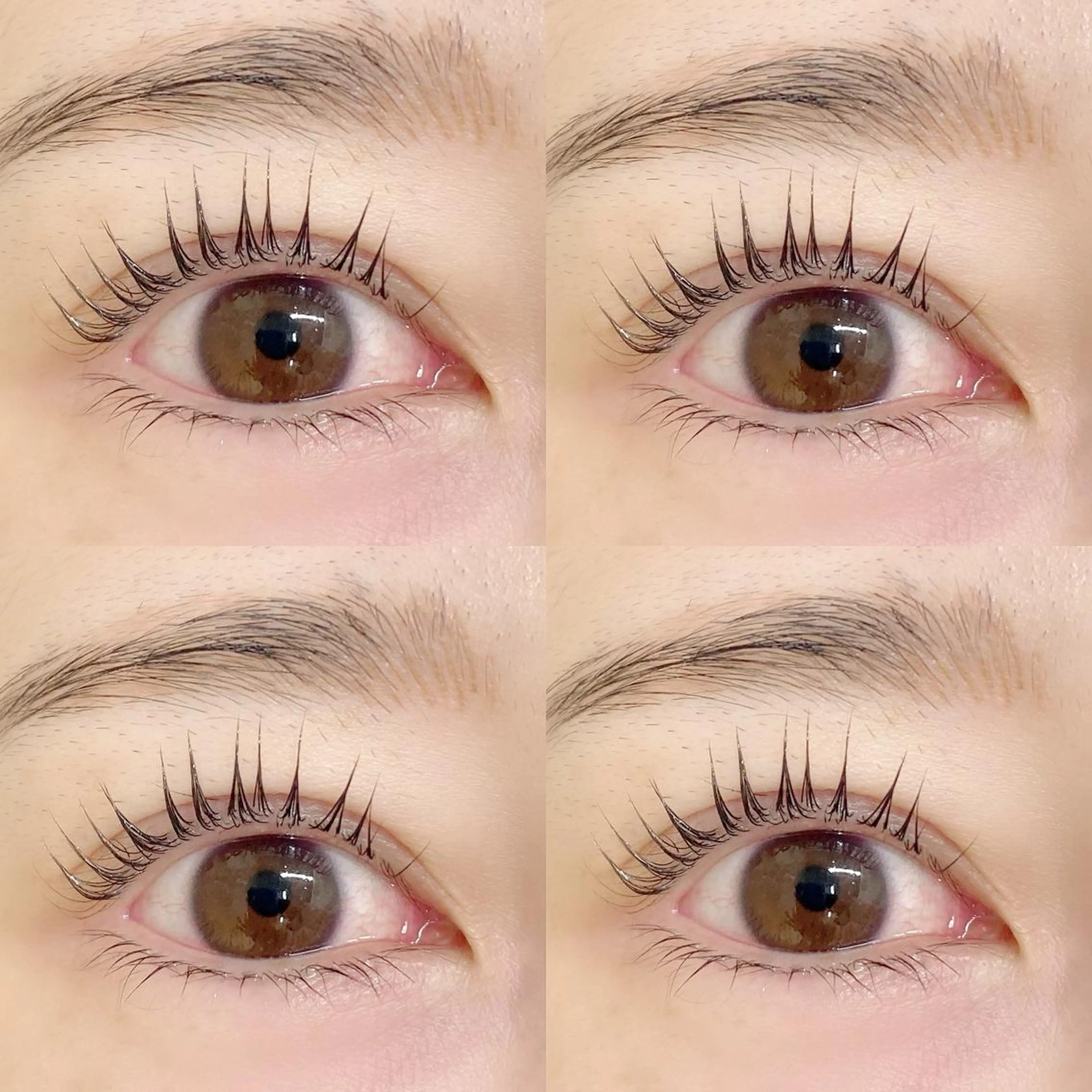 マツエク・マツパ まつげパーマ BAMBI 🖤KAWAIのマツエク・マツパデザイン