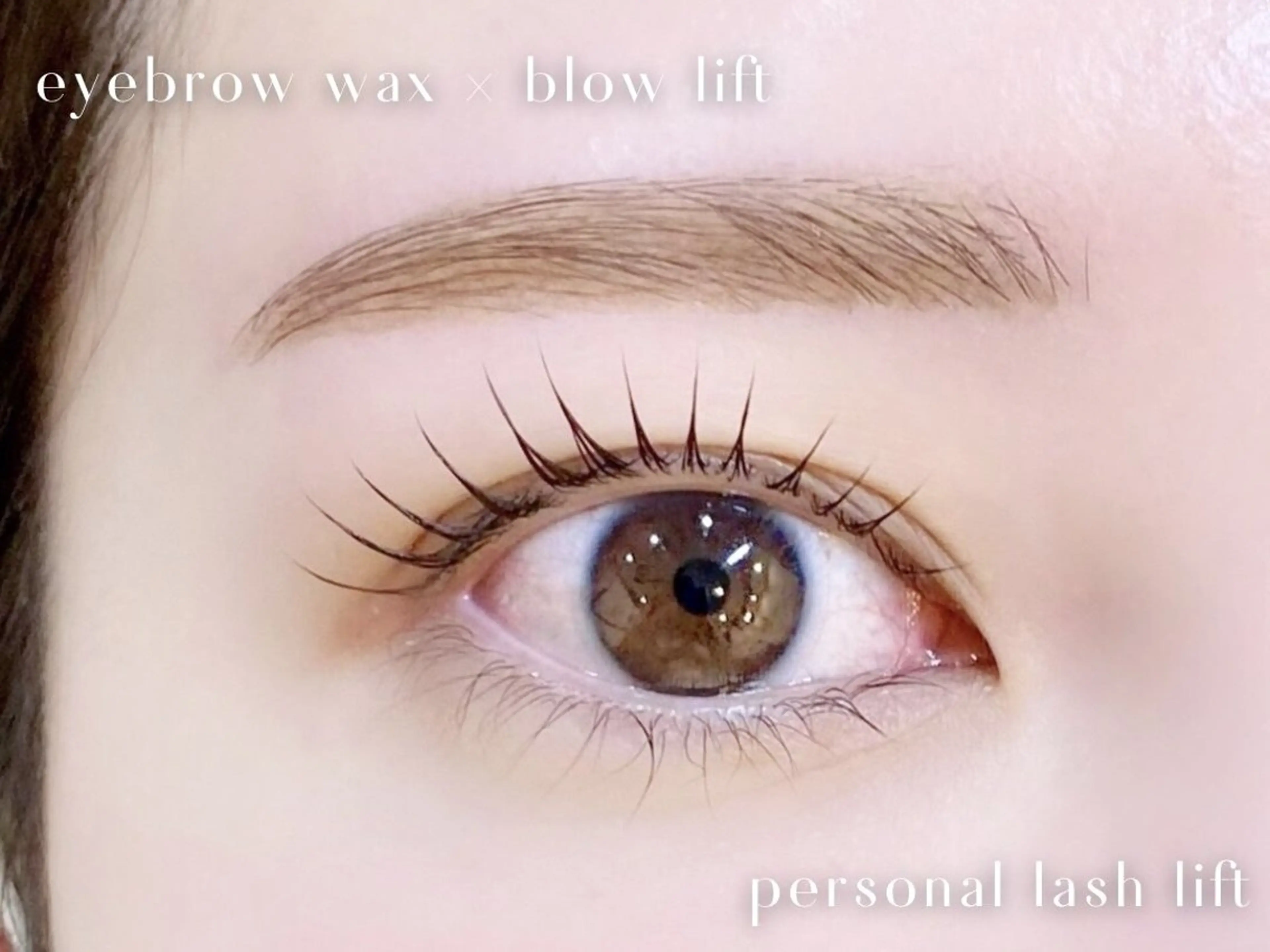 アイブロウ マツパ proof lash browの眉毛・アイブロウイメージ