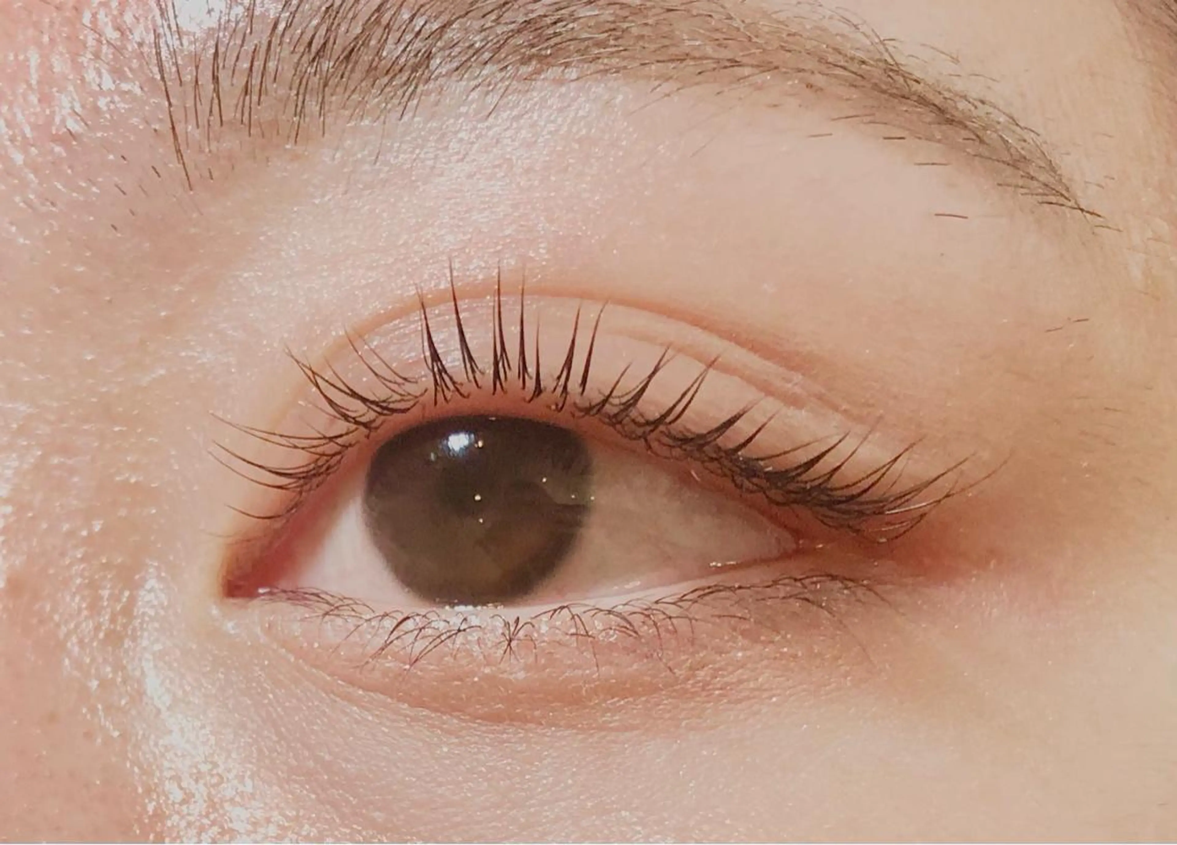 マツエク・マツパ パリジェンヌラッシュリフト eyelash  Mon所属・はやし ＊のマツエク・マツパデザイン