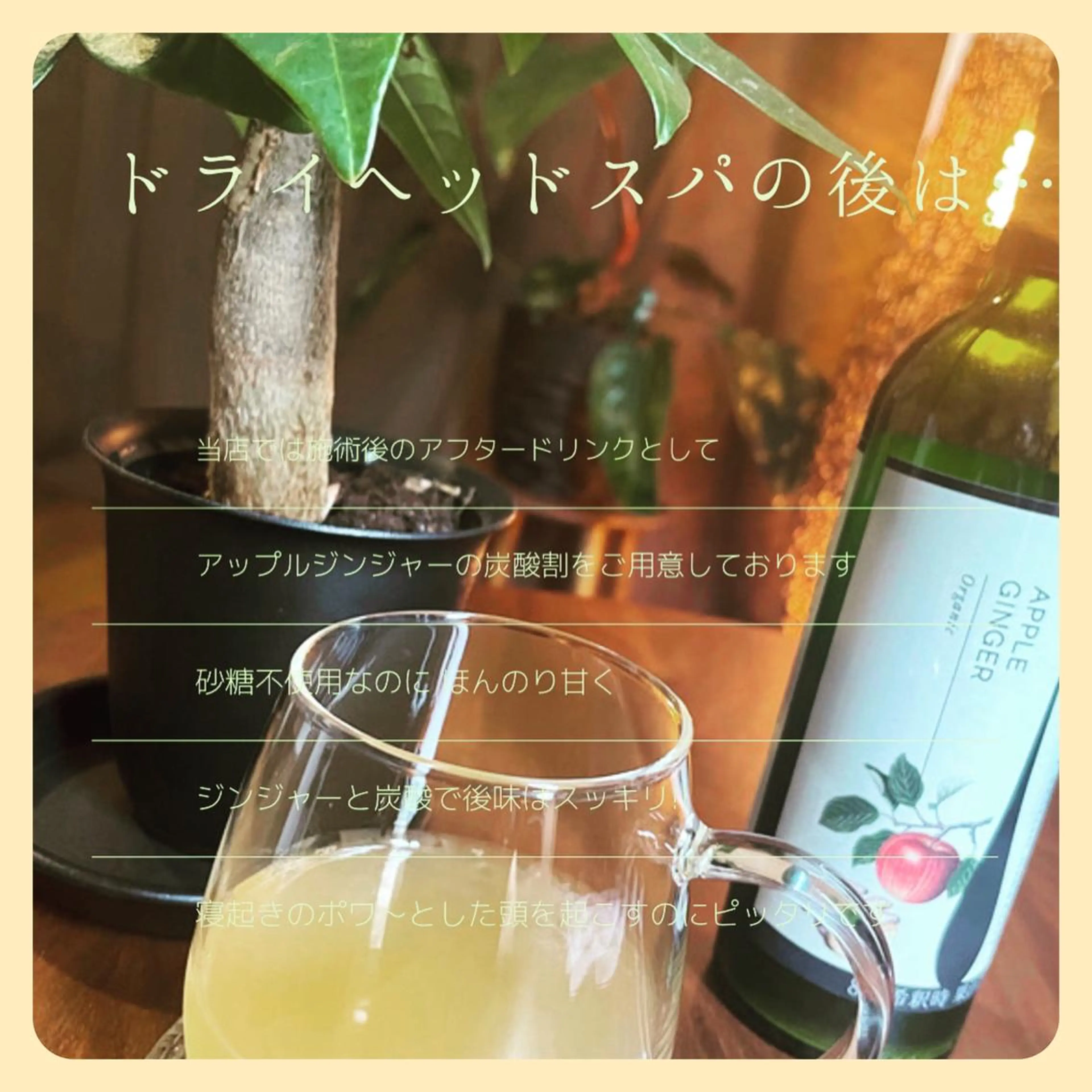 ドライヘッドスパ専門 店〜あんるぽ〜のエステ・リラクイメージ