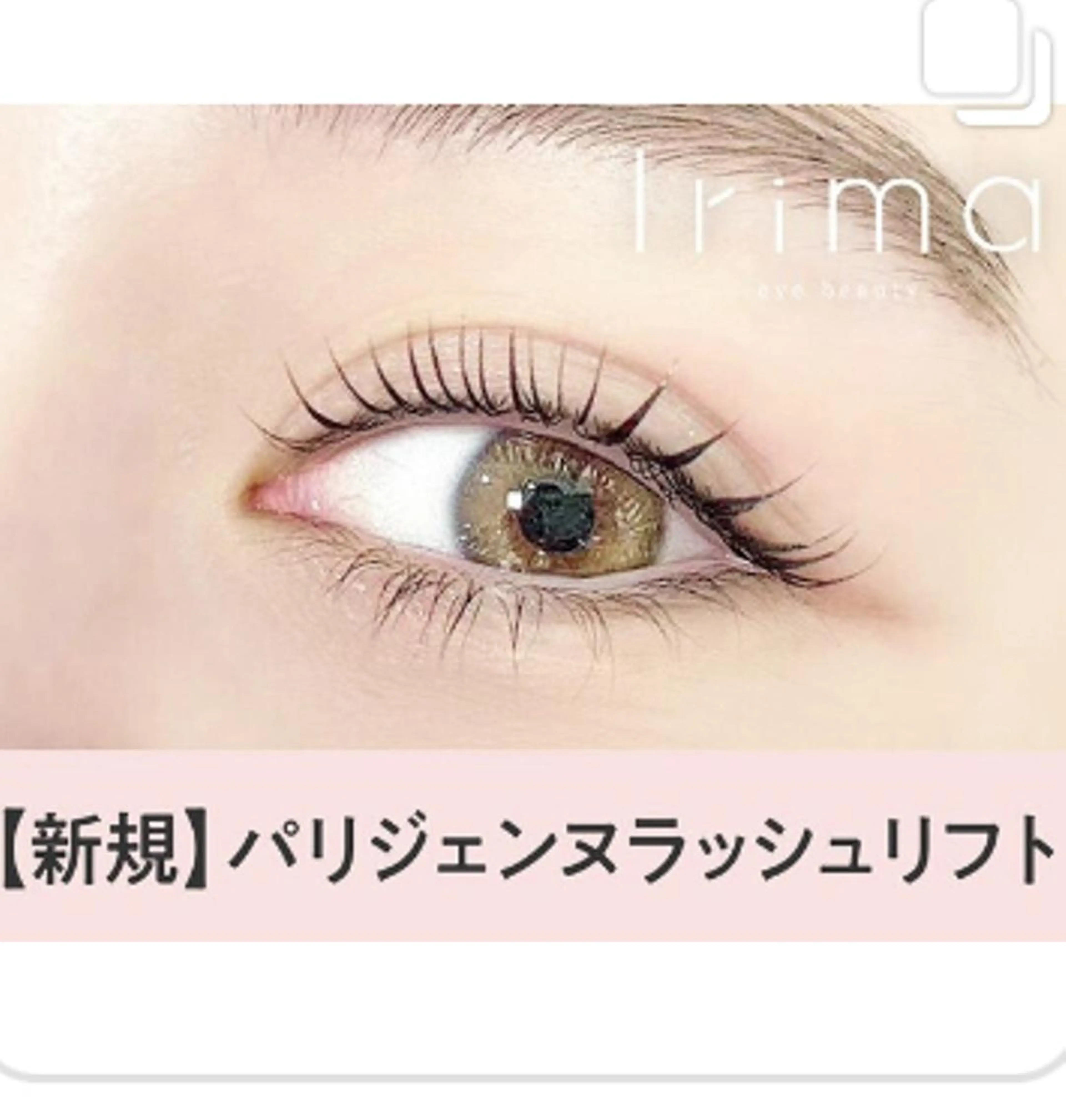 12/8 15:30​〜​限定👀メーテルラッシュリフトモデル様募集🌟研修のためメニュー変更不可！の写真