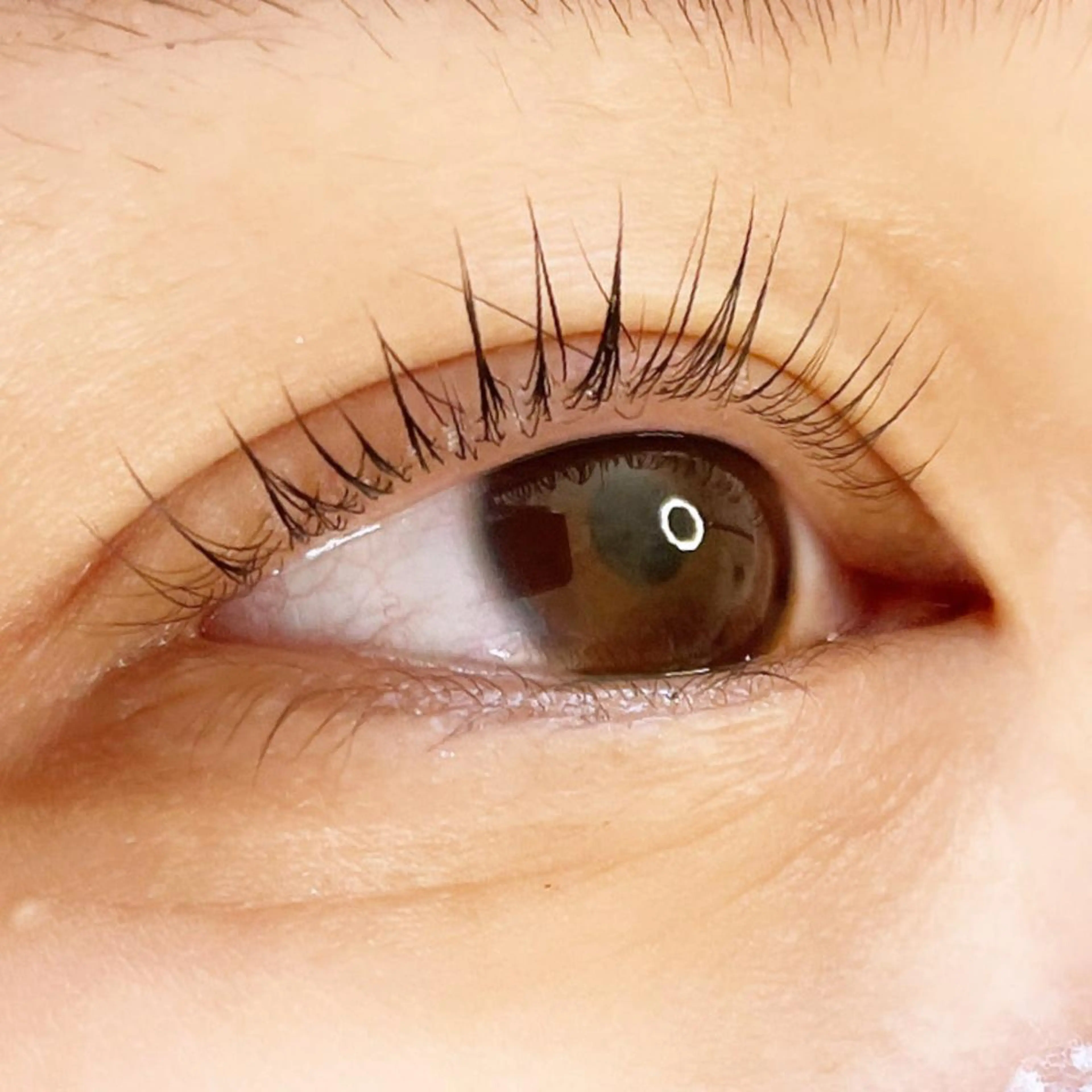 マツエク・マツパ 9nine 河合のマツエク・マツパデザイン