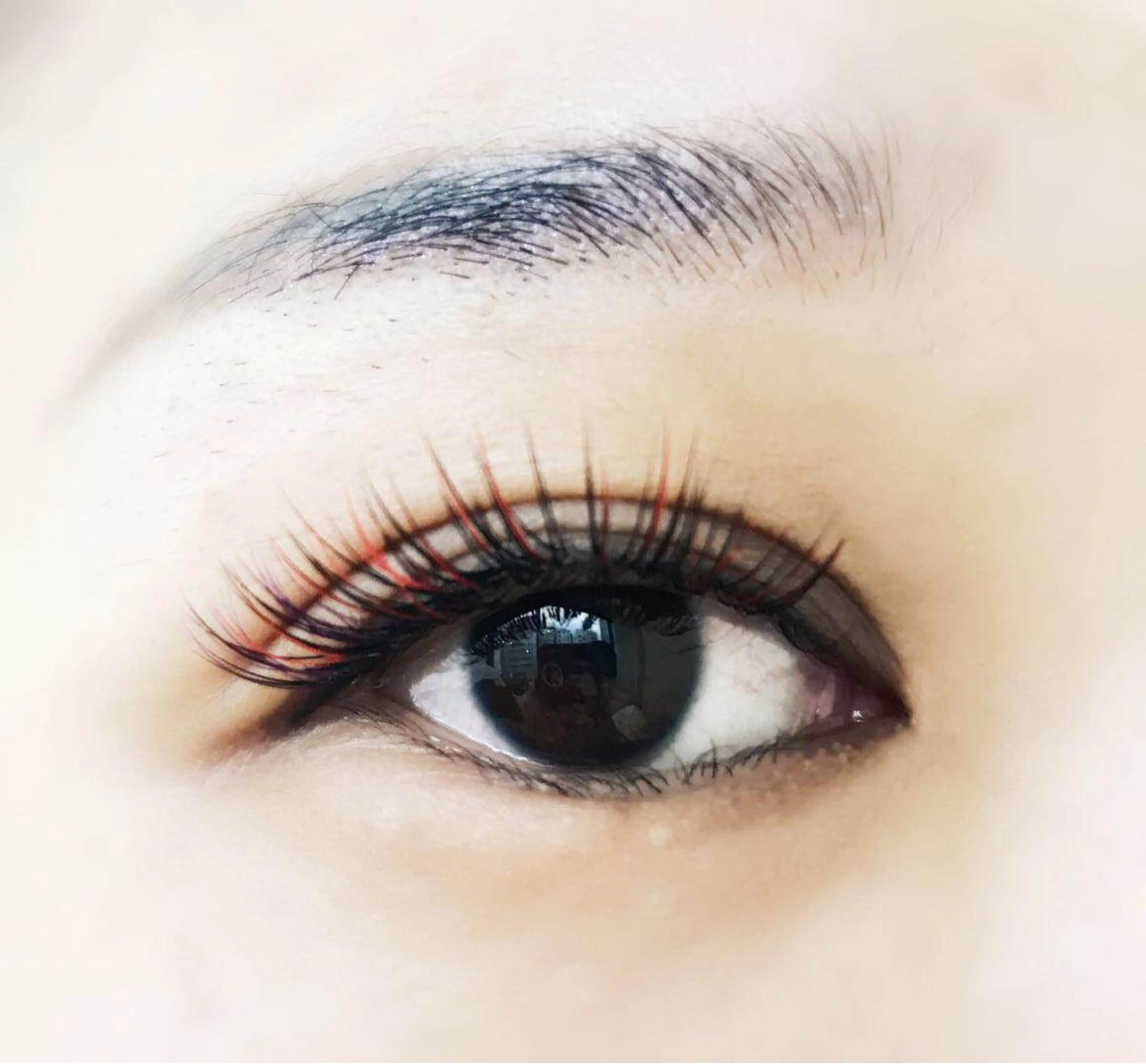 カラー40本の写真