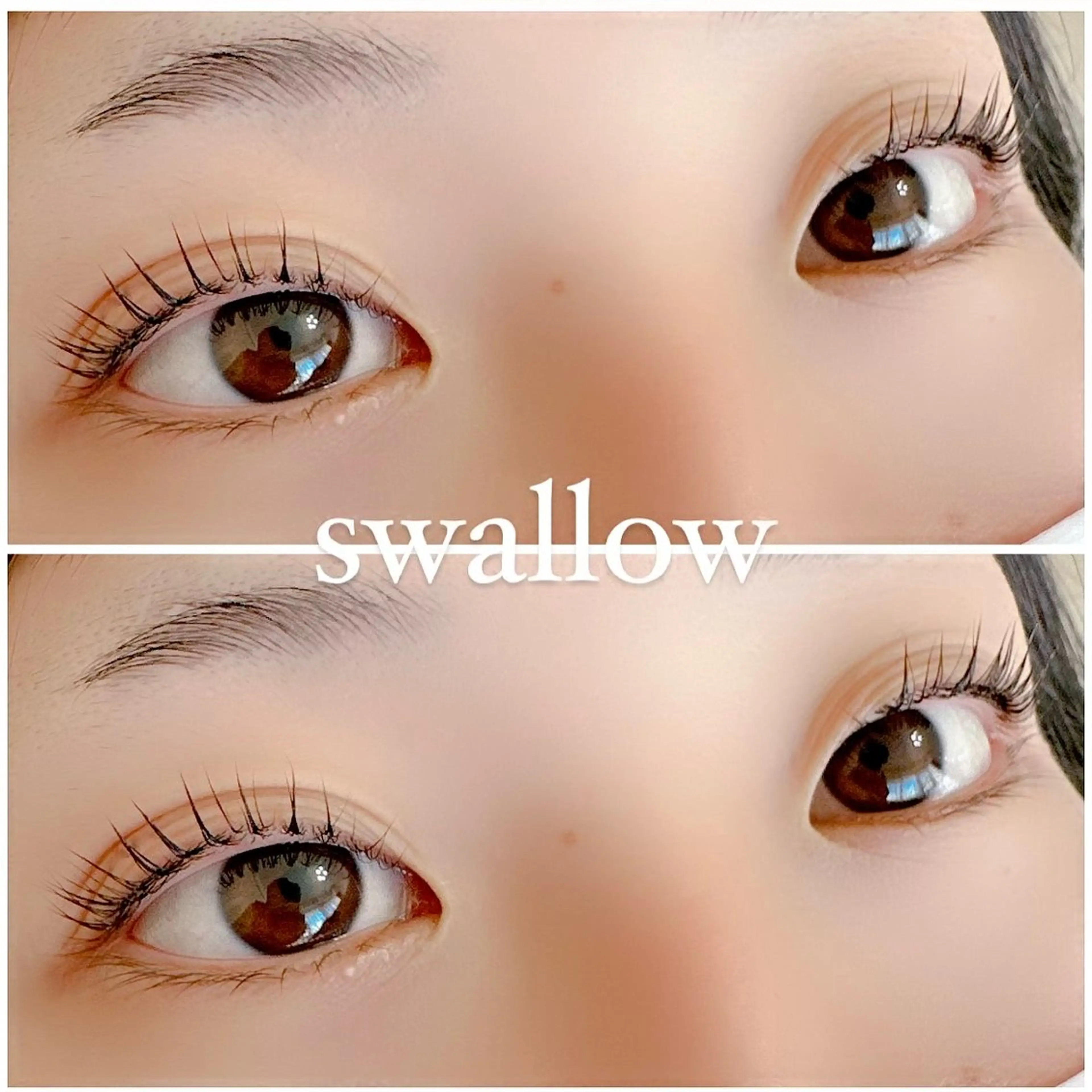 マツエク・マツパ Dカール 一重×まつ毛パーマ swallow 奈良西大寺店のマツエク・マツパデザイン