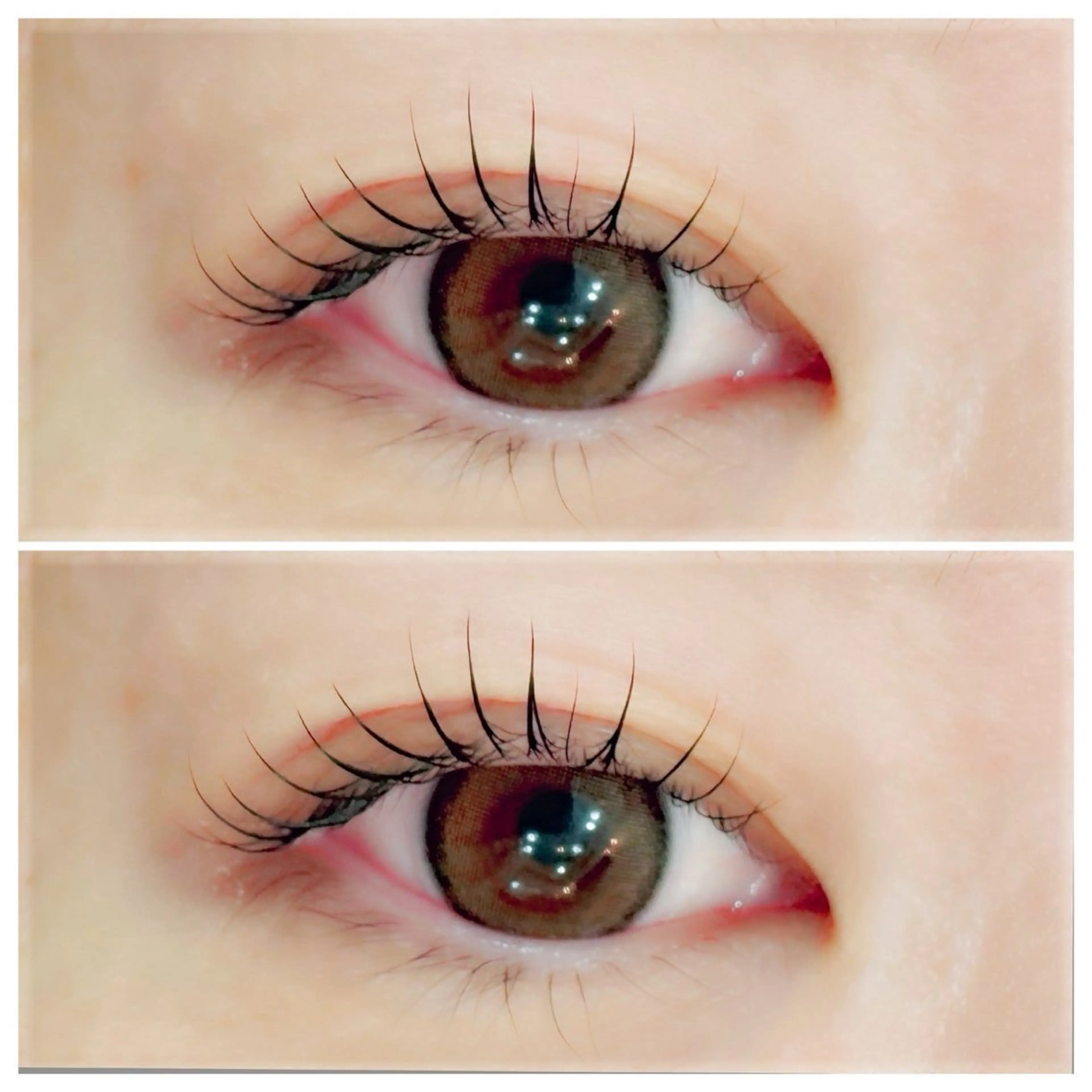 ラッシュリフト🎀トリートメント付き¥6,600→¥5,500の写真