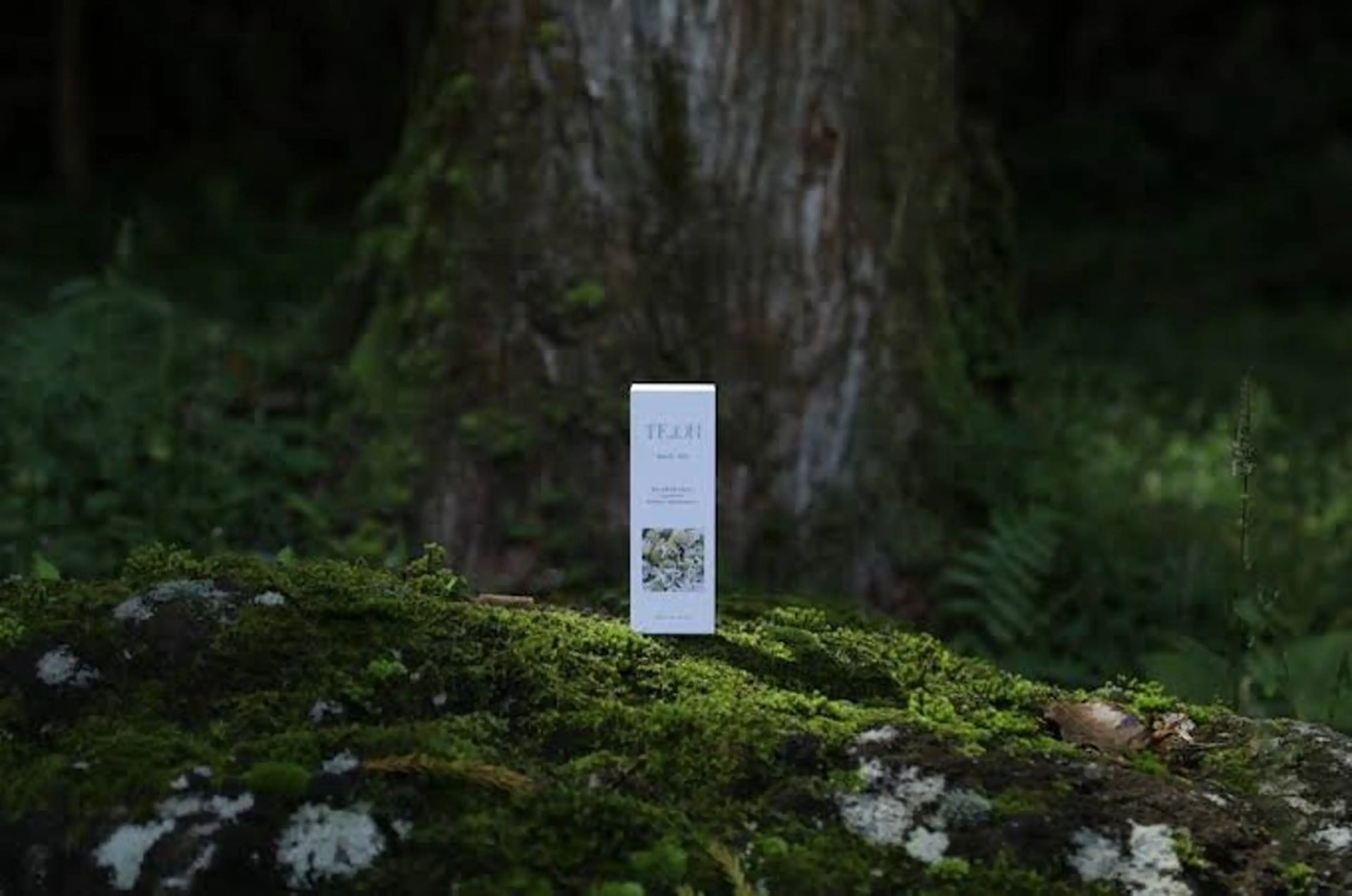 SIKI所属・SIKI ゆうのヘアスタイル