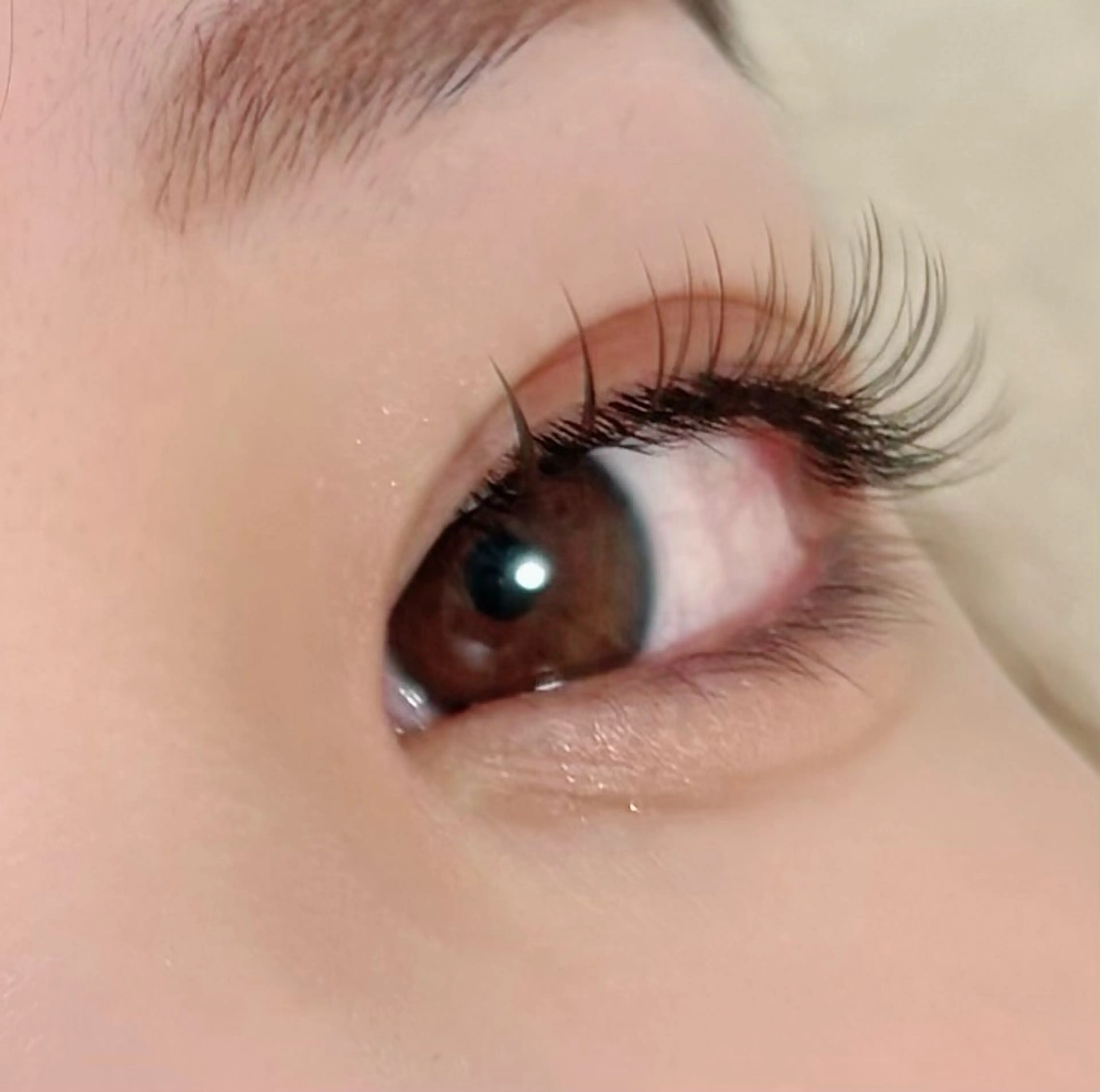 マツエク・マツパ カラーマツエク マツエク いのうえ ⌇  sorariのマツエク・マツパデザイン