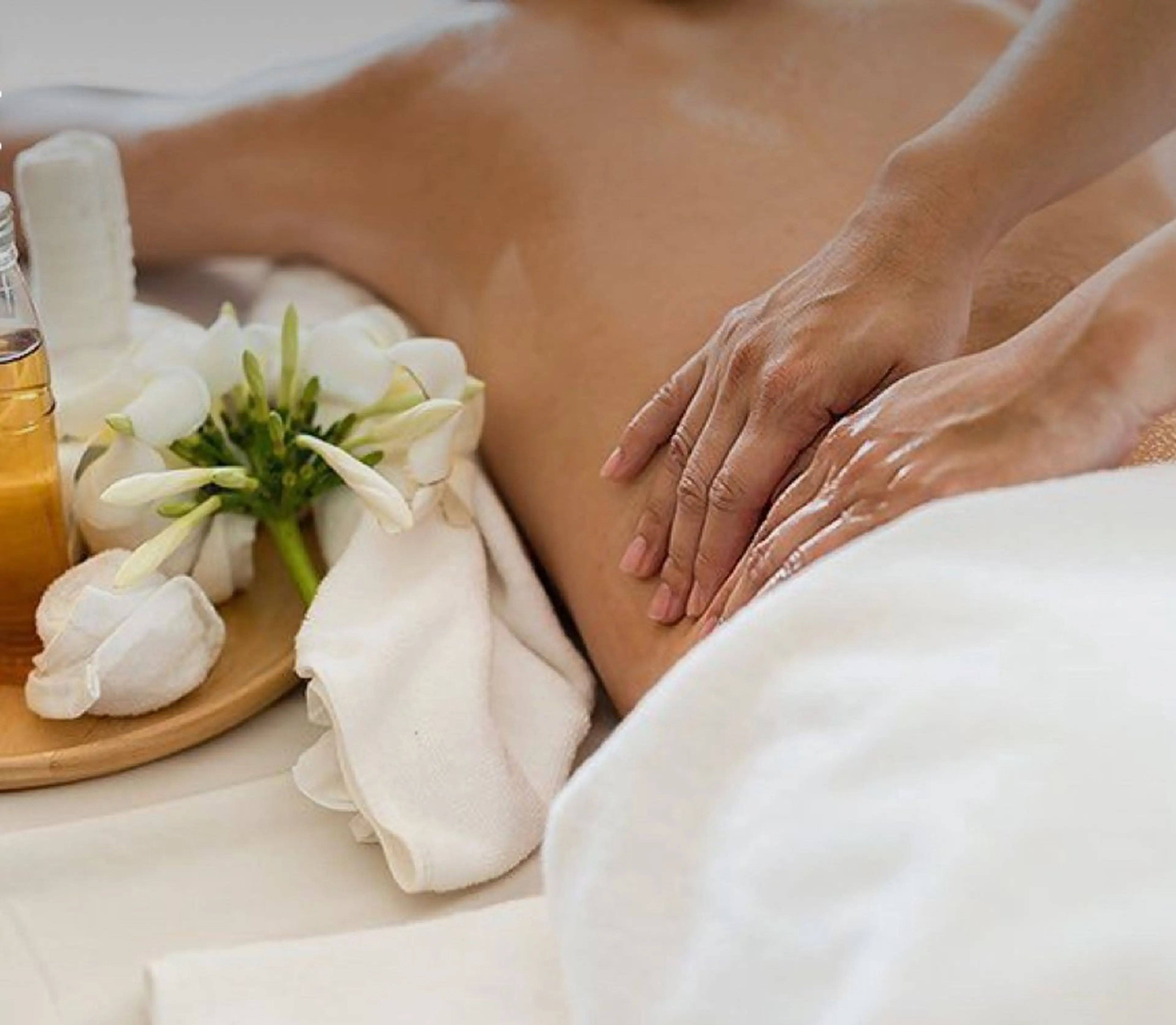 めぐらせの 森のその他イメージ