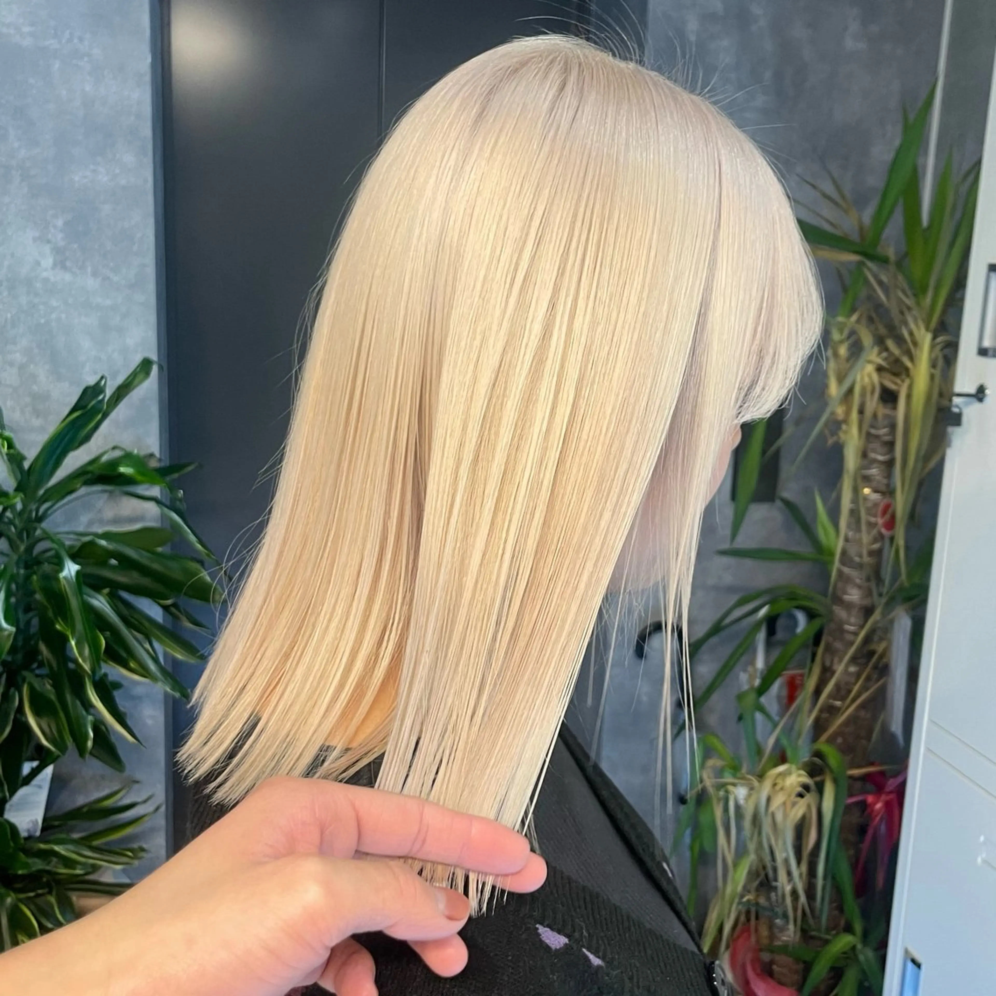 セミロング カラー ブロンド ホワイトブロンド トリートメント 似合わせカラー✞✟ ayumi🐈‍⬛のヘアスタイル