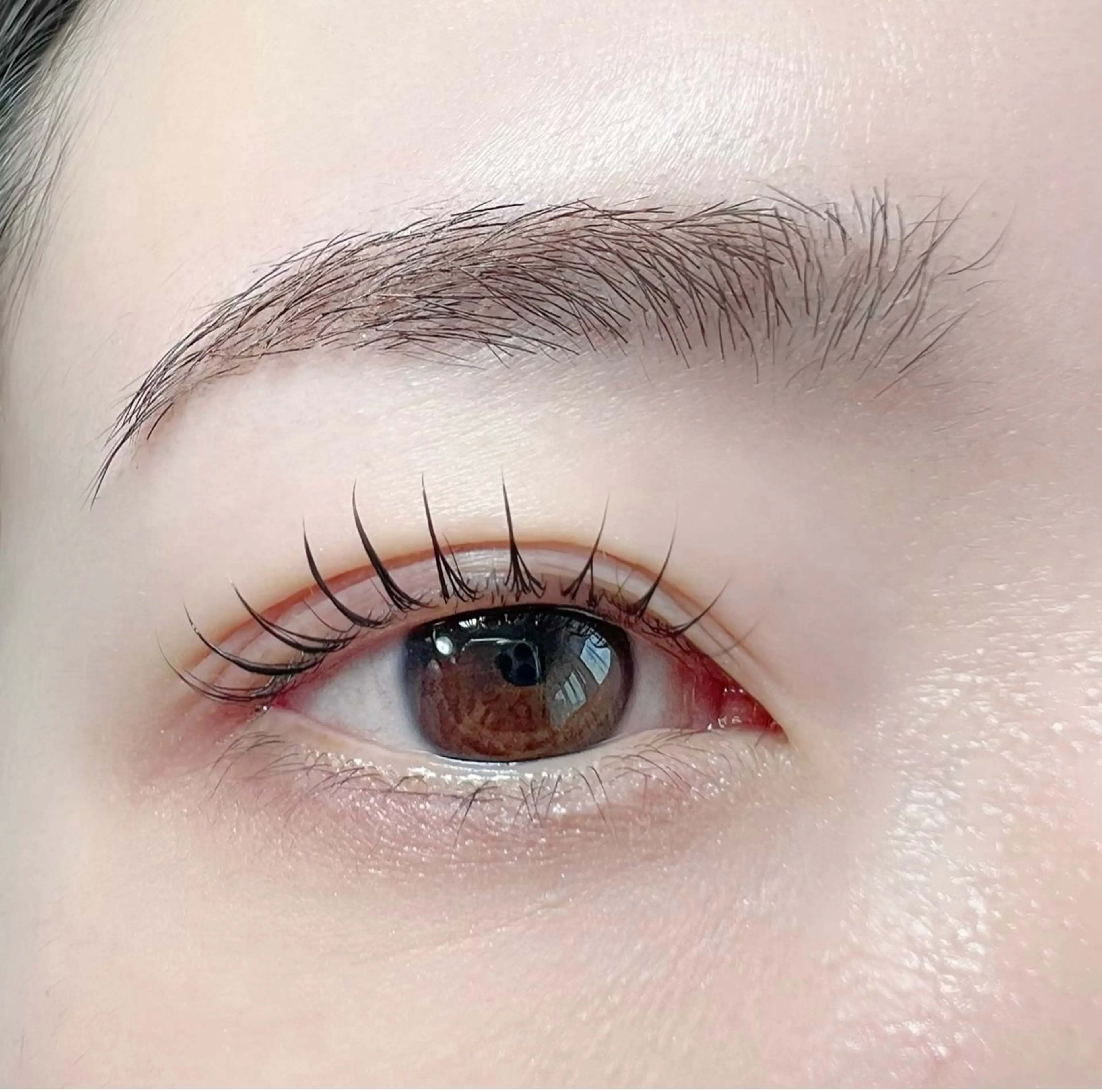 【学生限定】ラッシュリフト上(まつげパーマ)💎美容液コーティング仕上げ※現金払いのみ※の写真