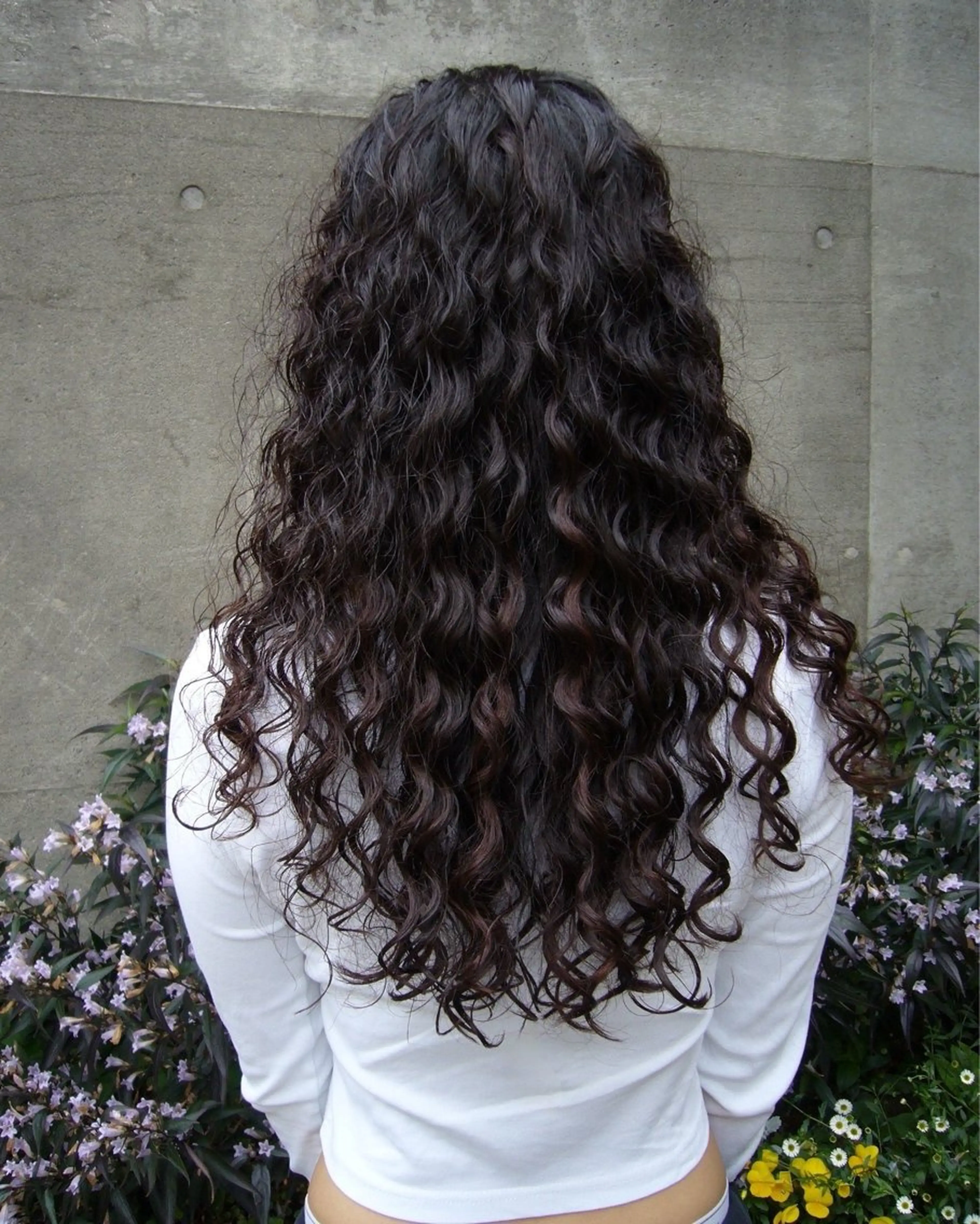 カットスパイラルパーマの写真