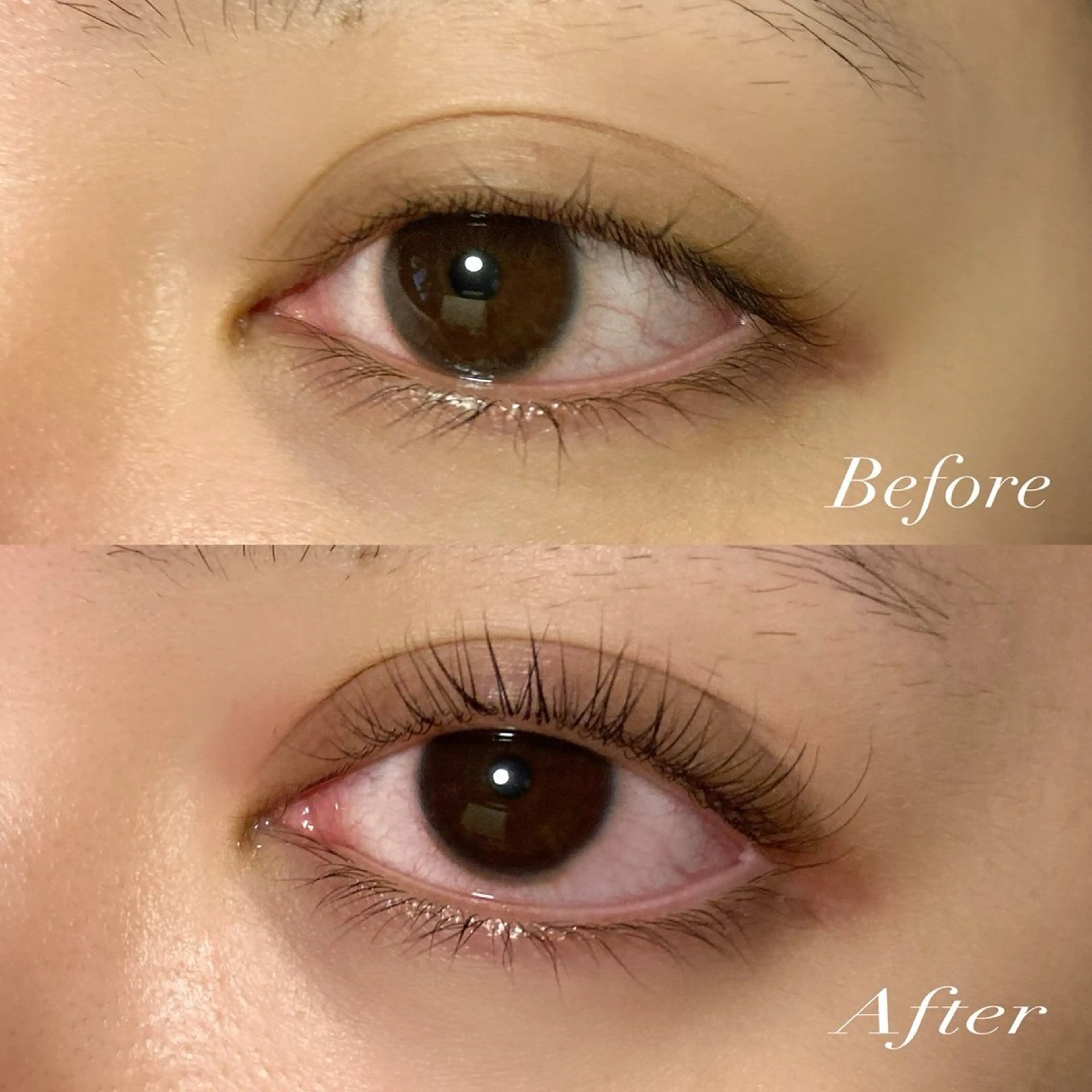 マツエク・マツパ Bee eye'sのマツエク・マツパデザイン