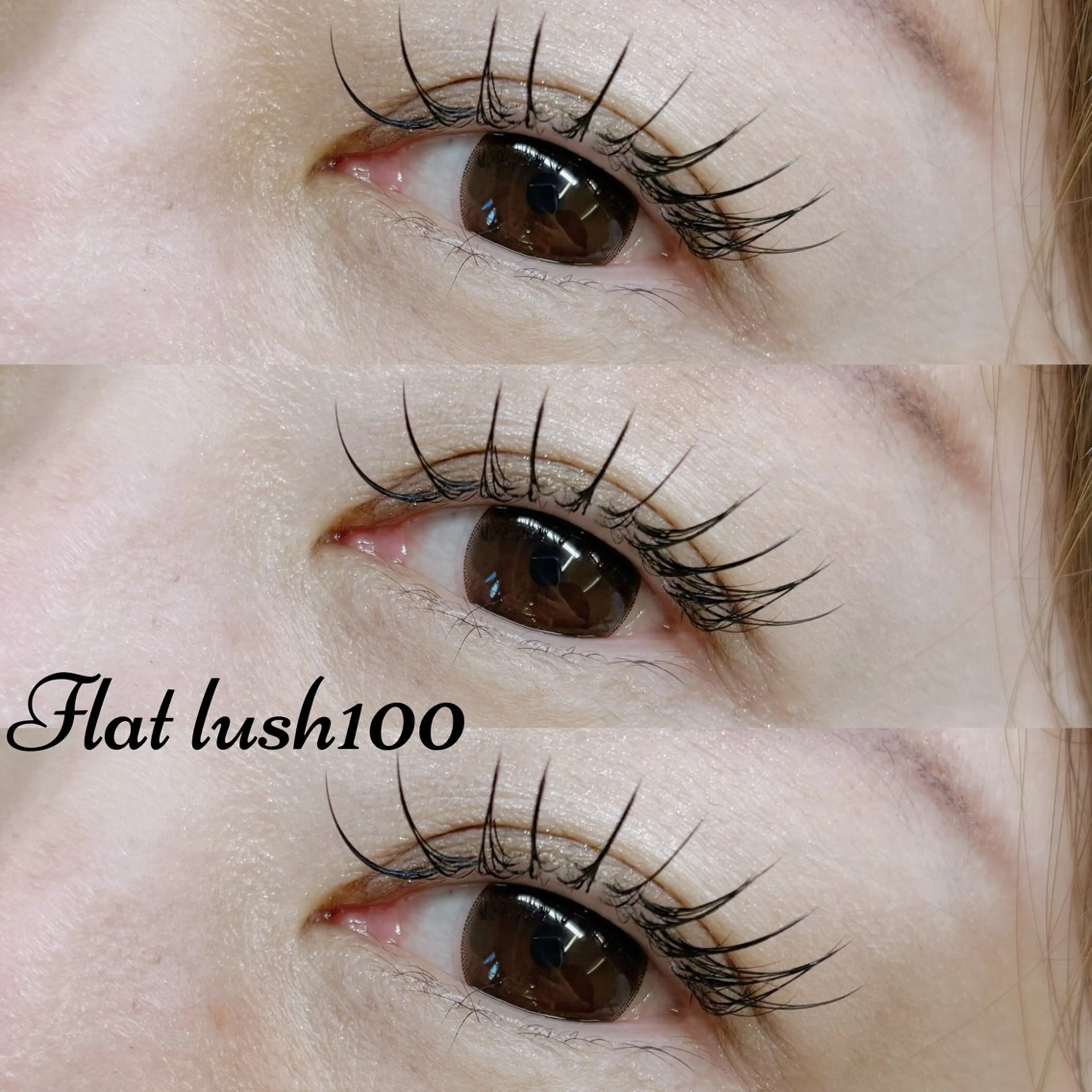 マツエク・マツパ カルフールノア大船/ Ririの眉毛・アイブロウイメージ