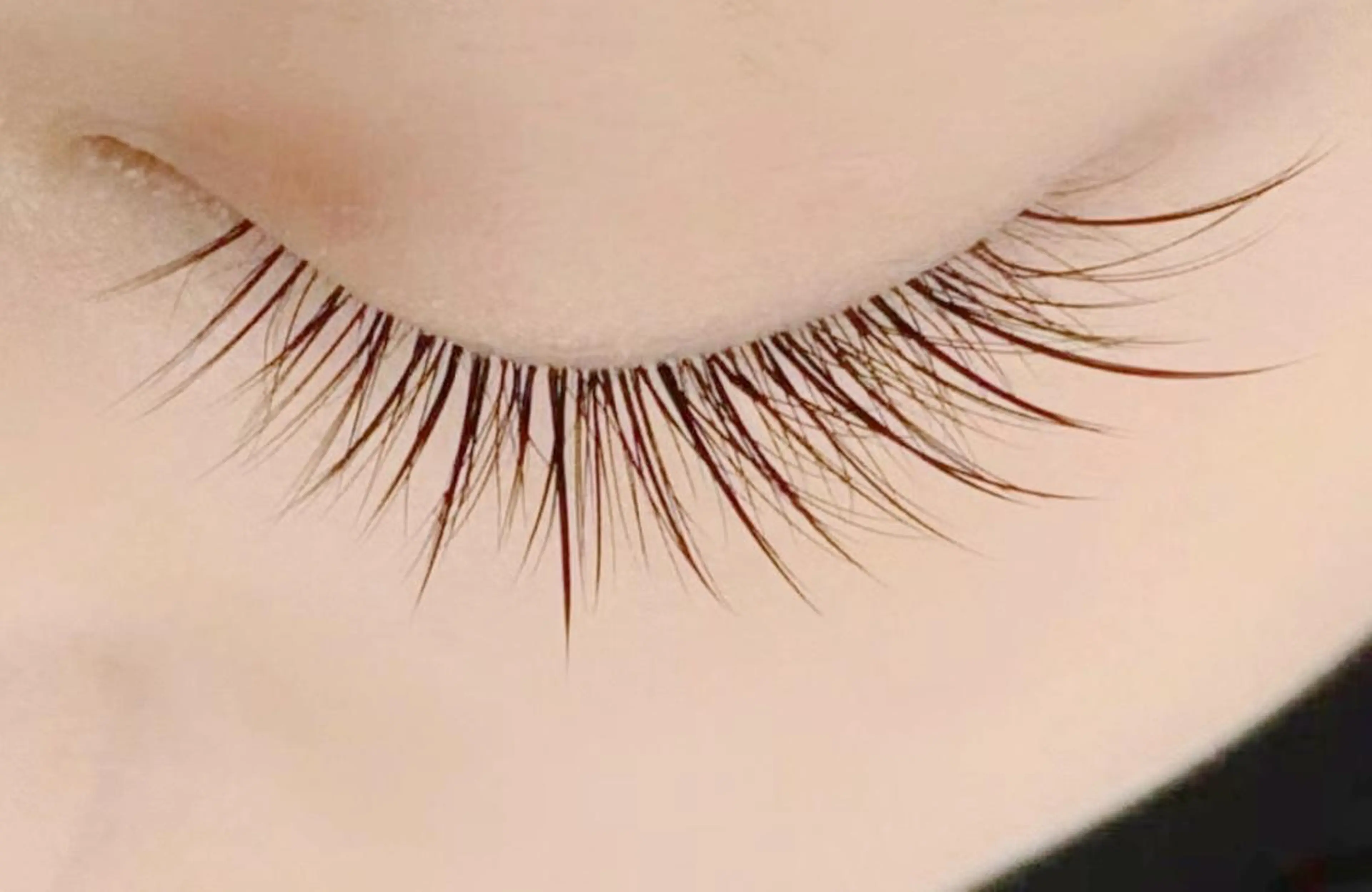 【オフ無料】フラットラッシュ100本4180円の写真