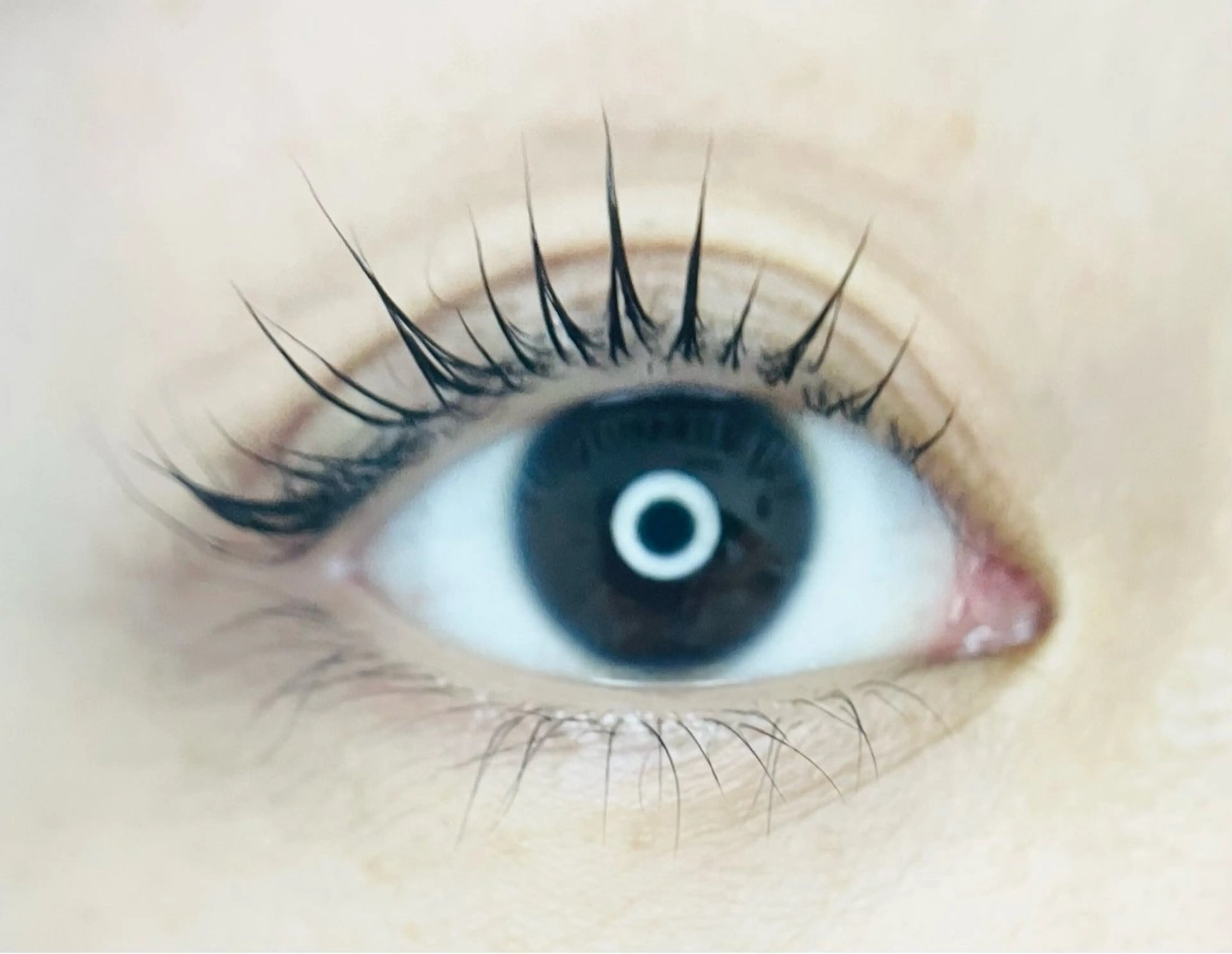 マツエク・マツパ L🎀リアン サロンのマツエク・マツパデザイン