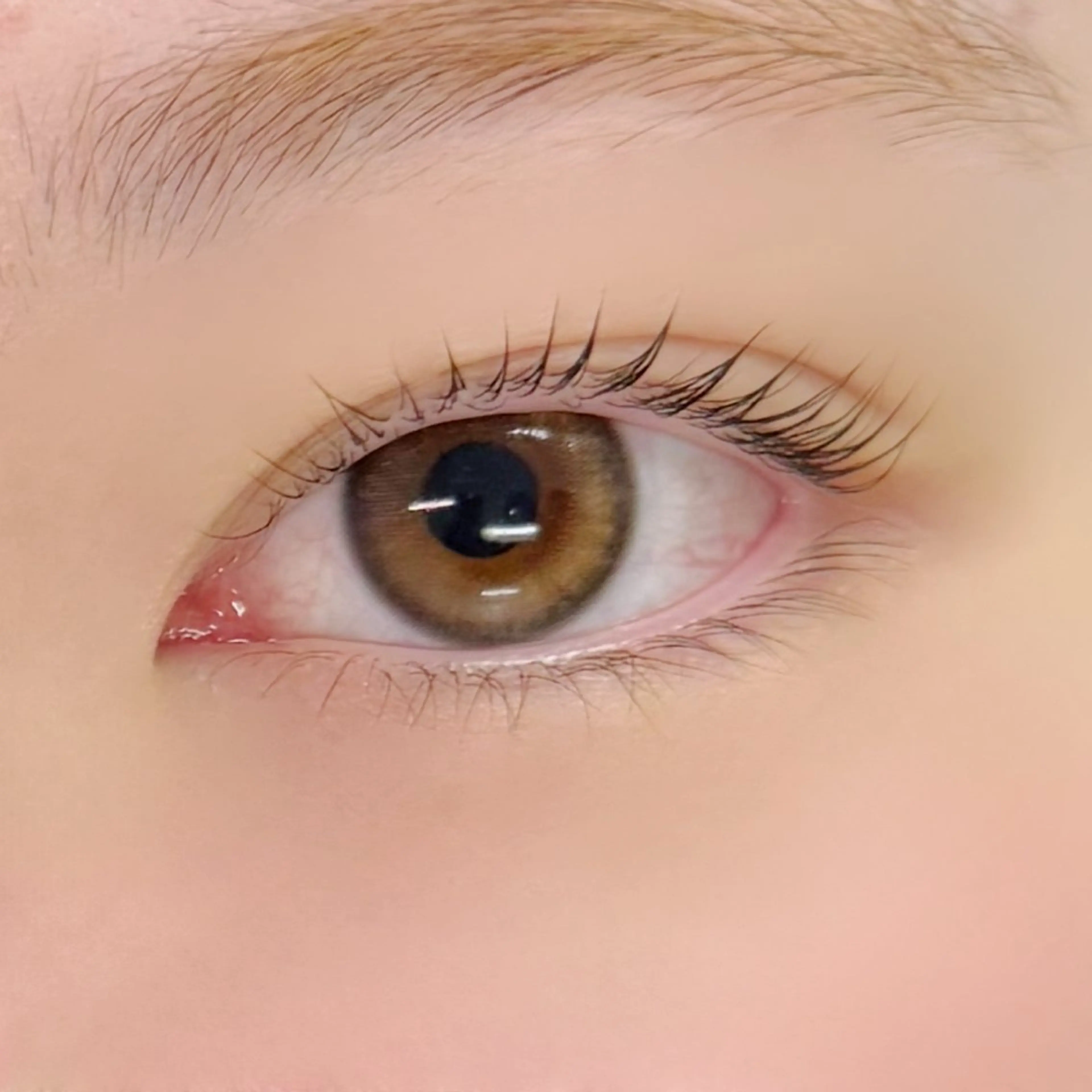 マツエク・マツパ Chelien MORIMOTOのマツエク・マツパデザイン